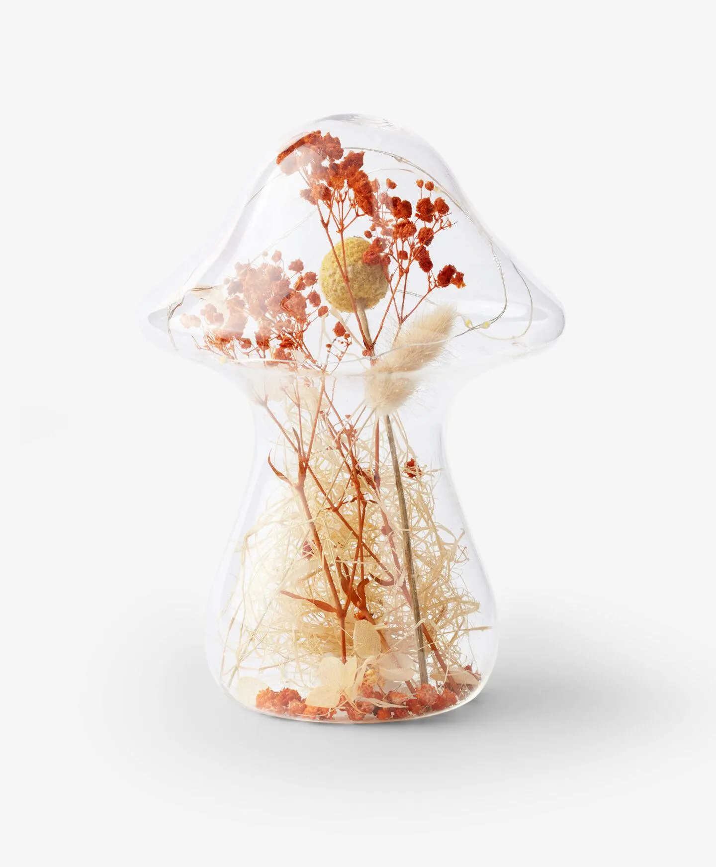 Ciupercă cu decorațiuni uscate