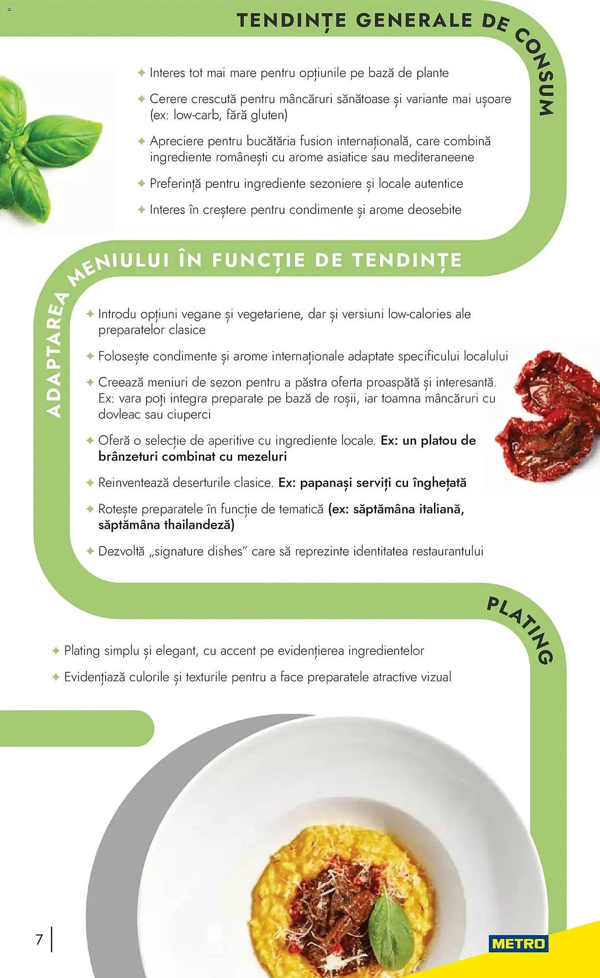Catalog Catalog Metro de la 9 noiembrie până la 31 decembrie 2026 - Revista Pagina 7