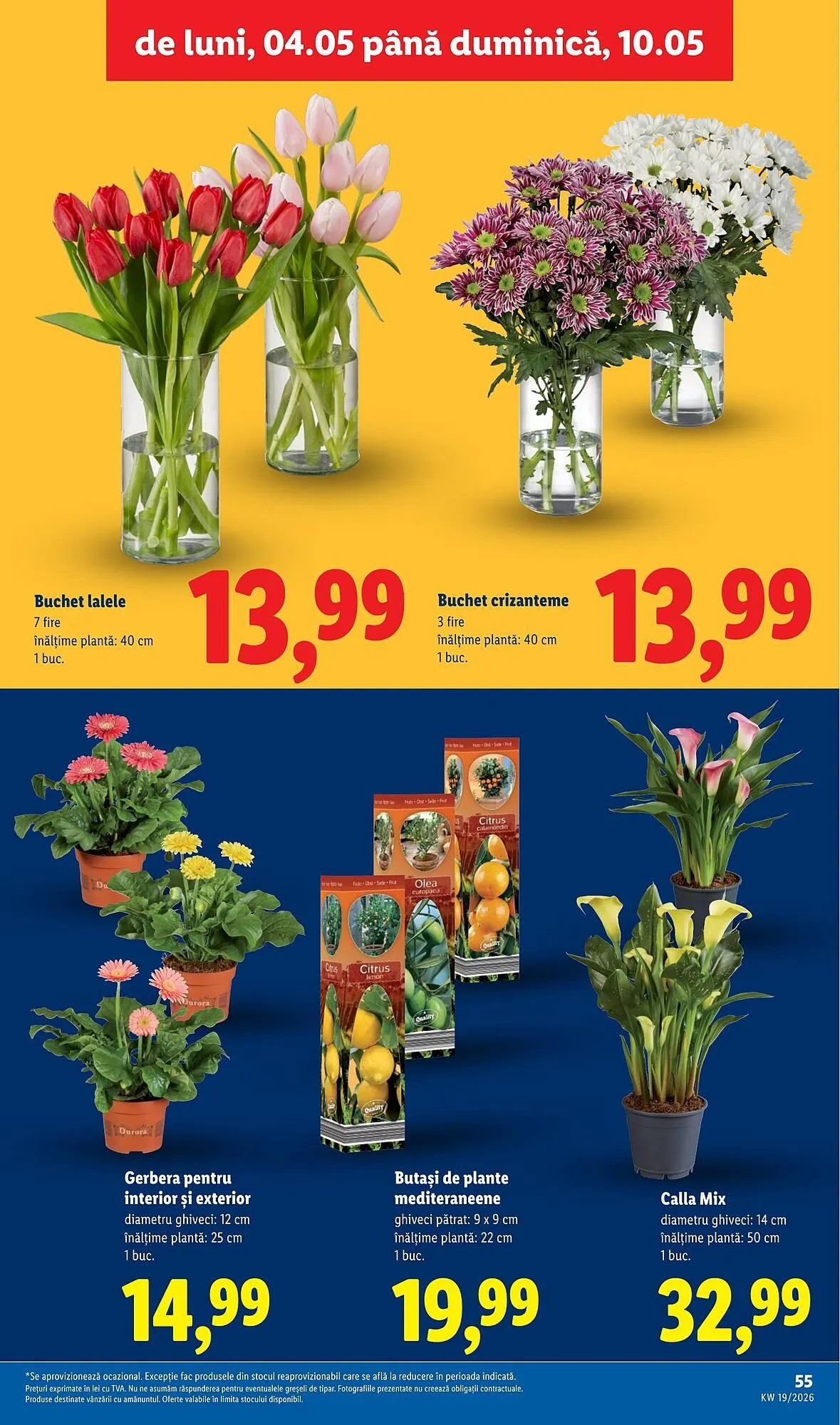 Catalog Catalog Lidl de la 4 mai până la 10 mai 2026 - Revista Pagina 55