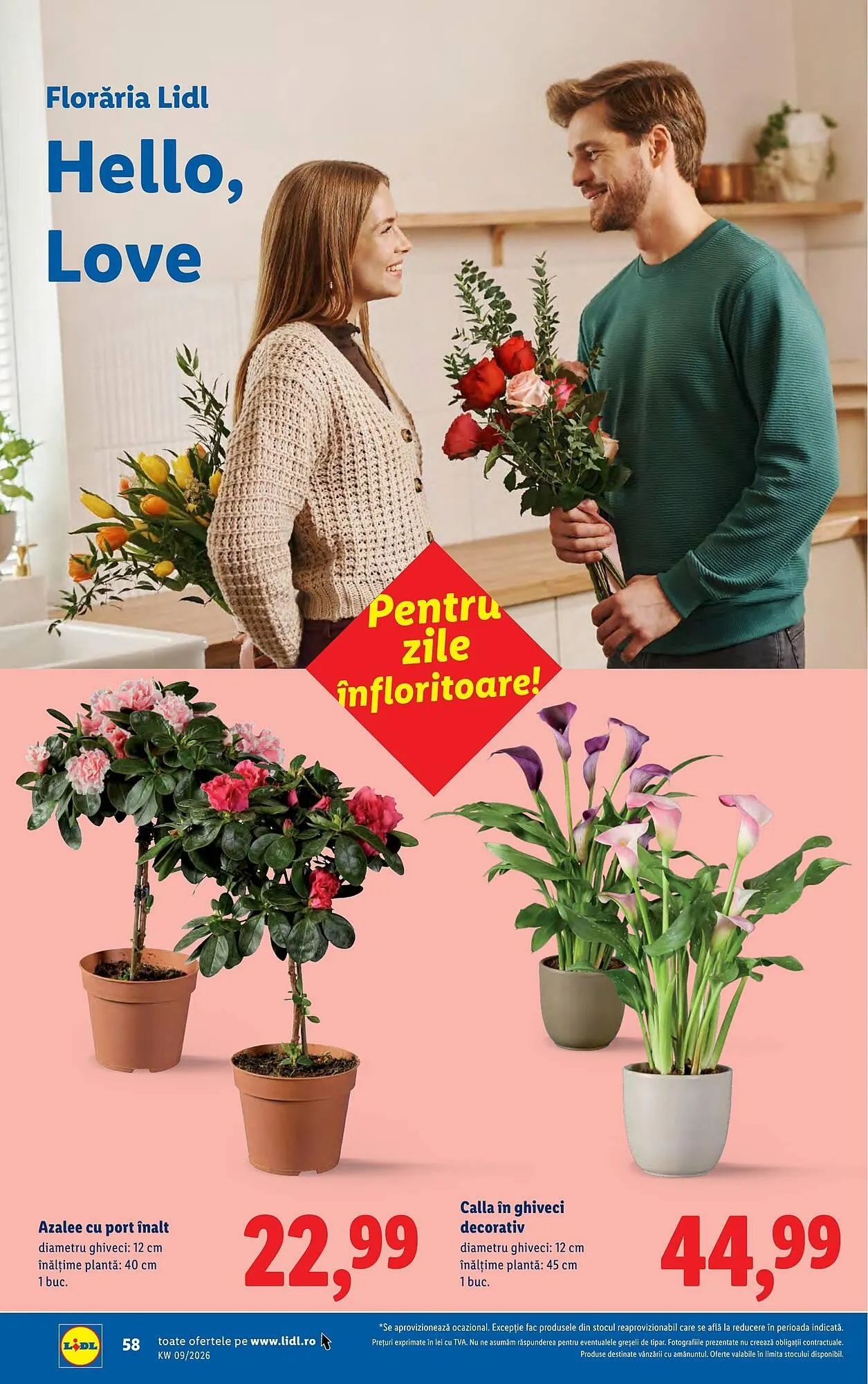 Catalog Catalog Lidl de la 23 februarie până la 1 martie 2026 - Revista Pagina 58