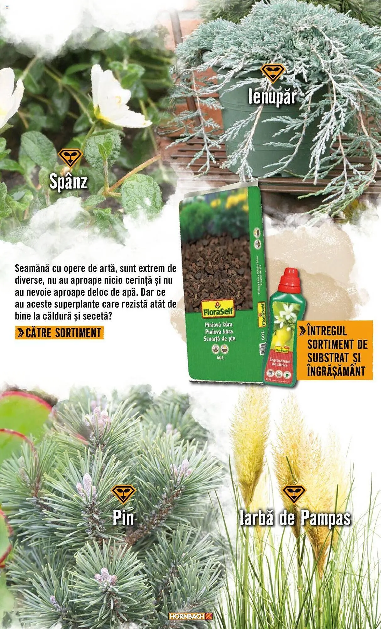 Catalog Сatalog Hornbach de la 22 aprilie până la 31 decembrie 2024 - Revista Pagina 27