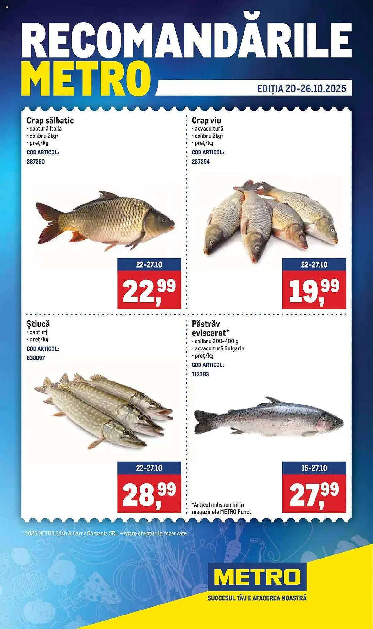 Catalog Metro - 1