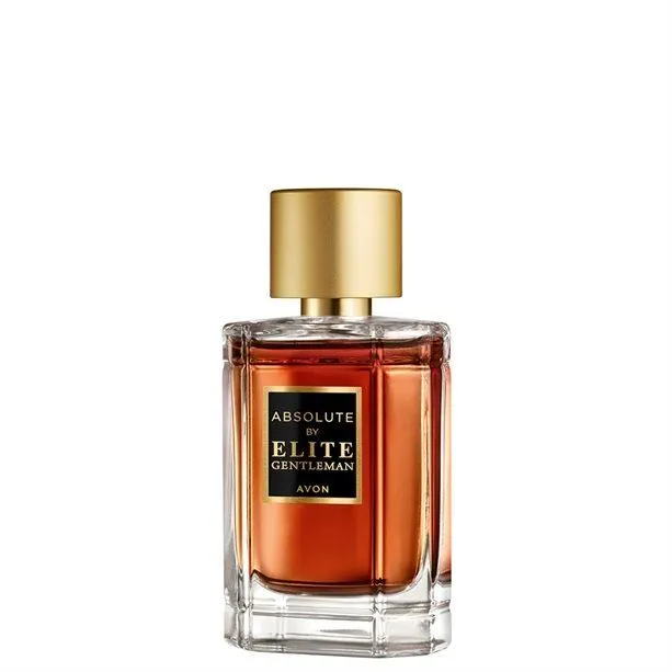 Absolute by Elite Gentleman EDT - 50 ml