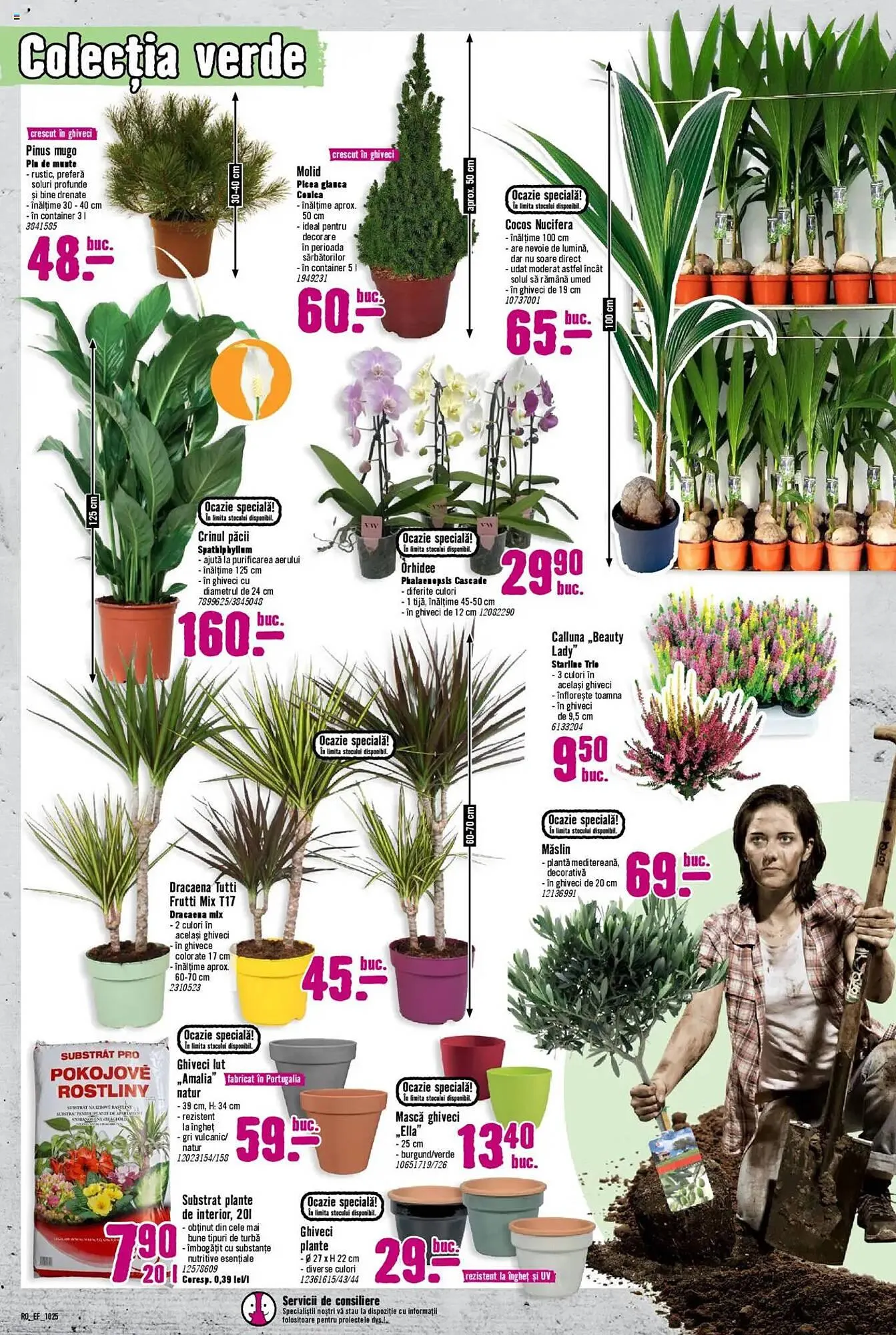 Catalog Magazine Hornbach de la 1 octombrie până la 31 octombrie 2025 - Revista Pagina 5