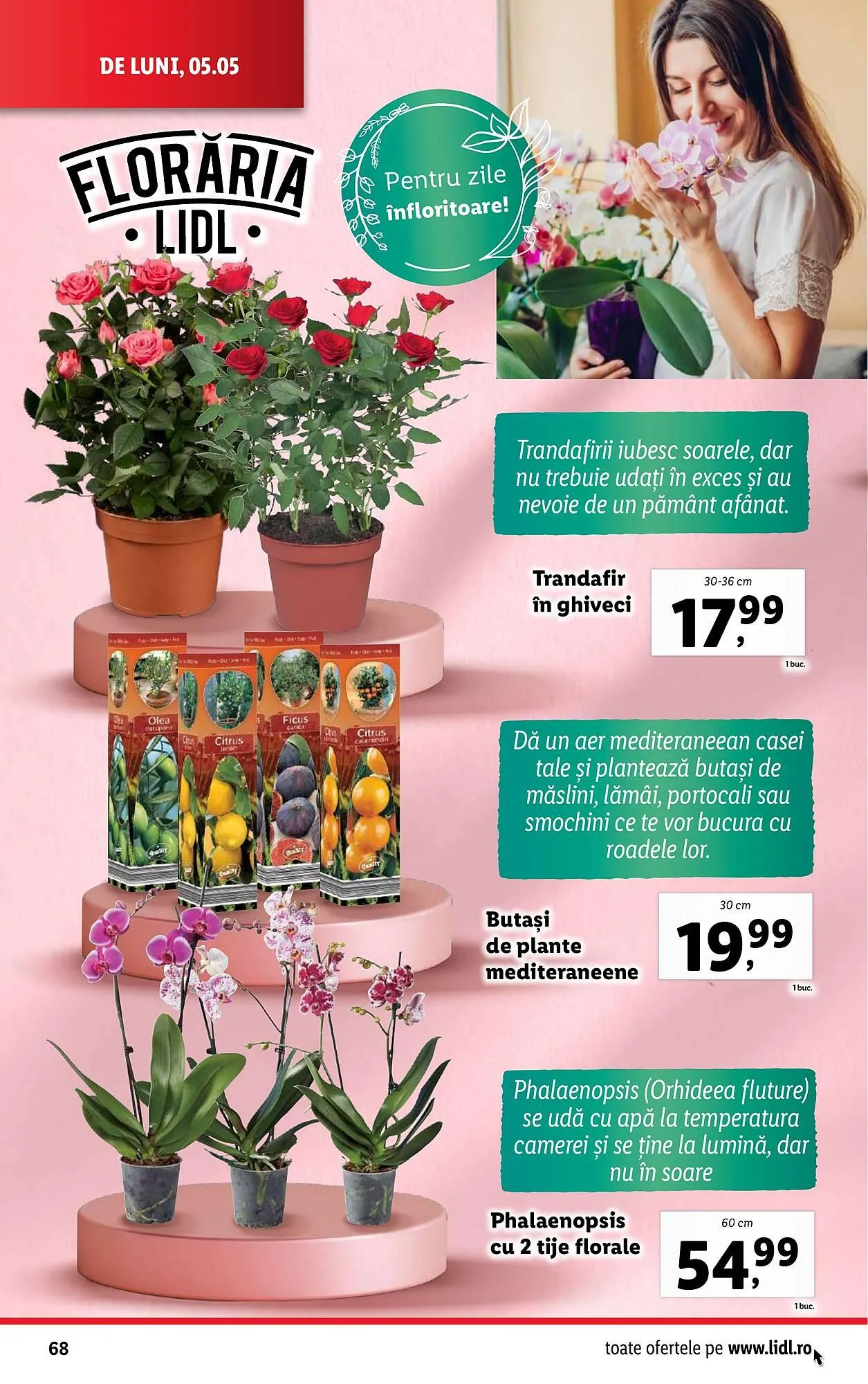 Catalog Catalog Lidl de la 5 mai până la 11 mai 2025 - Revista Pagina 68