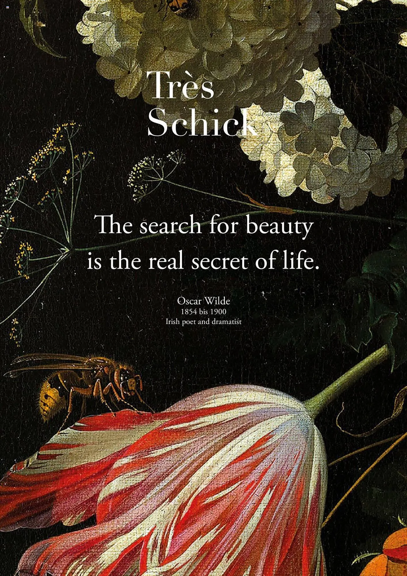 Catalog Proges catalog de la 5 aprilie până la 31 decembrie 2023 - Revista Pagina 8