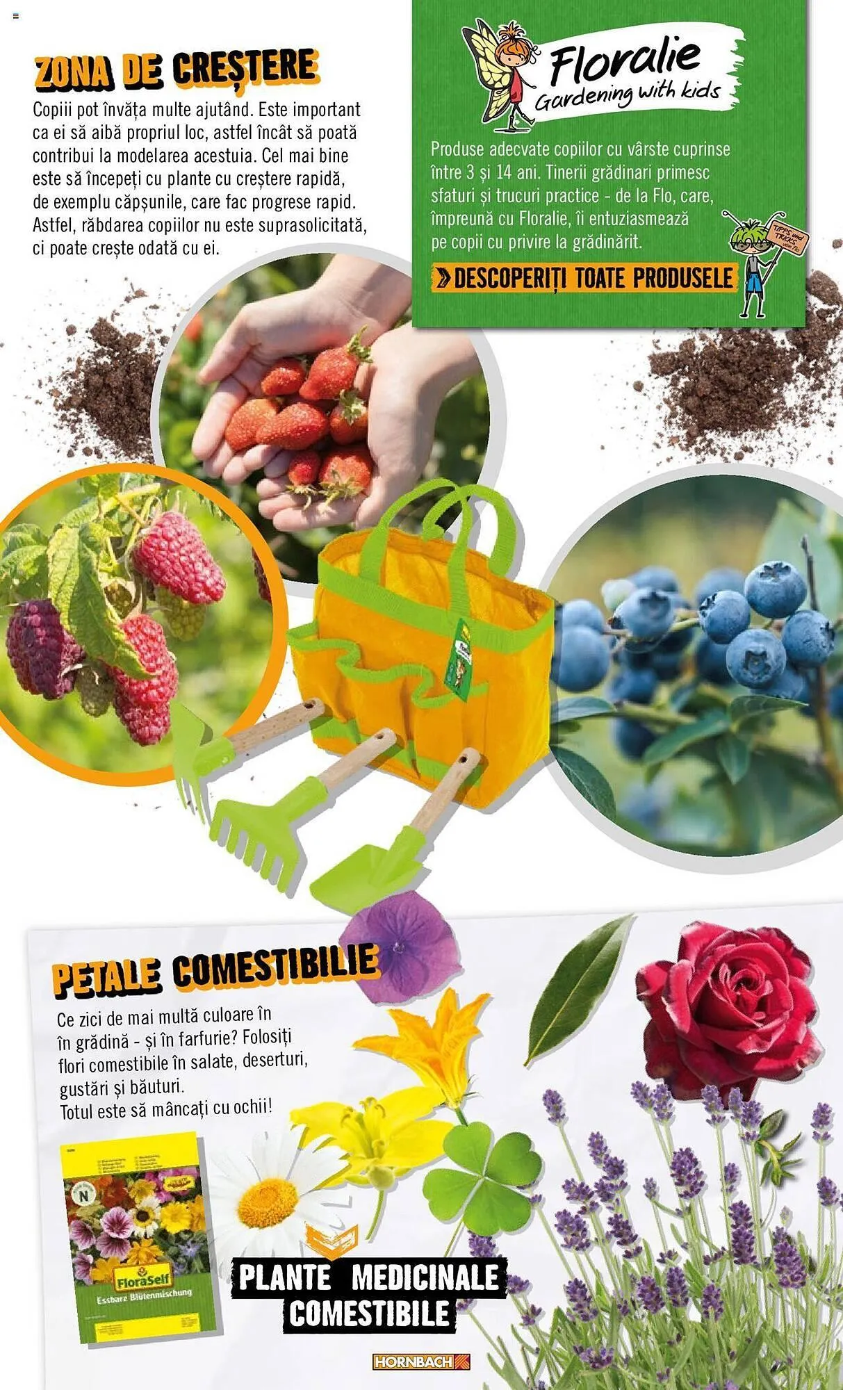 Catalog Сatalog Hornbach de la 22 aprilie până la 31 decembrie 2024 - Revista Pagina 41