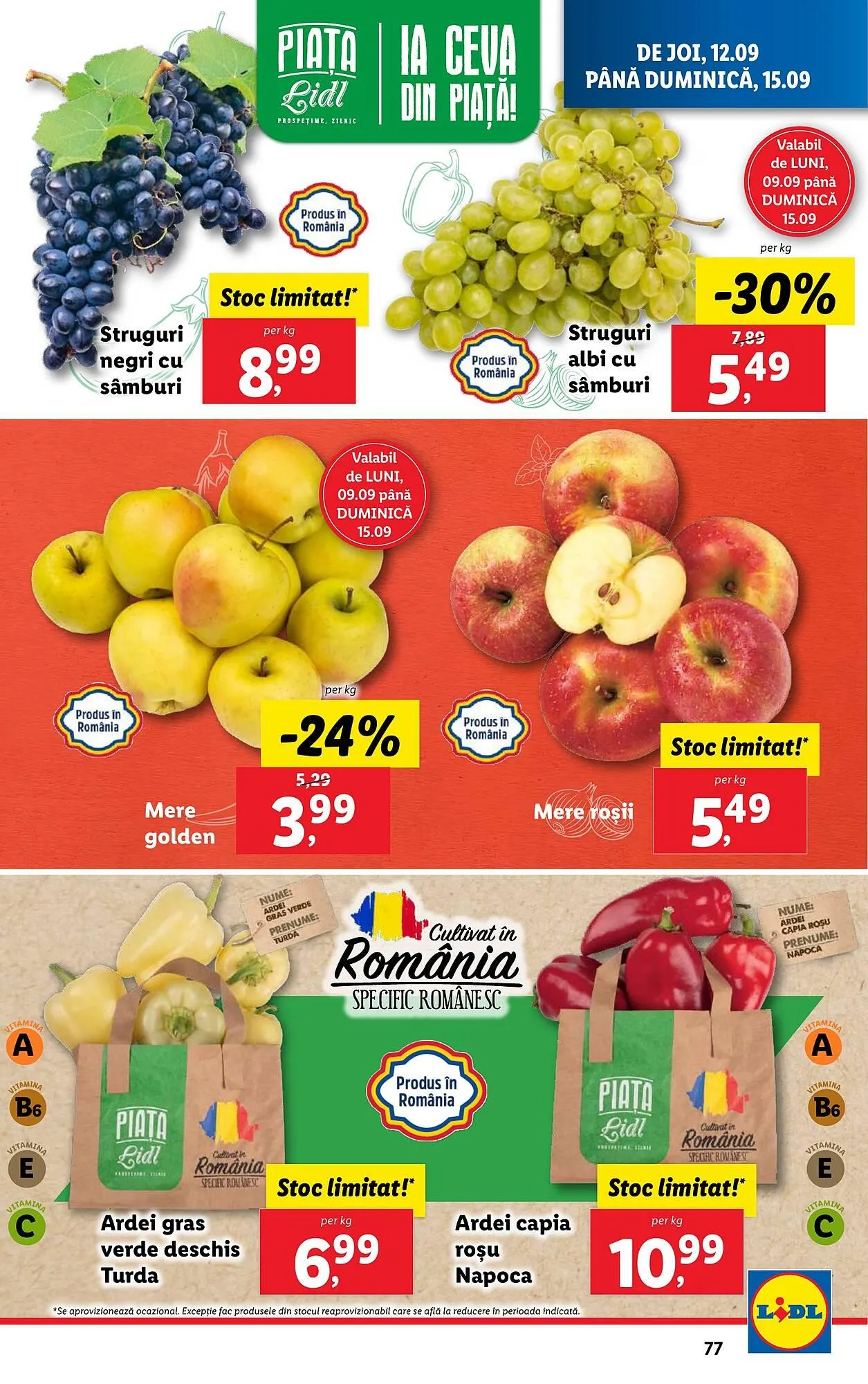 Catalog Catalog Lidl de la 9 septembrie până la 15 septembrie 2024 - Revista Pagina 77