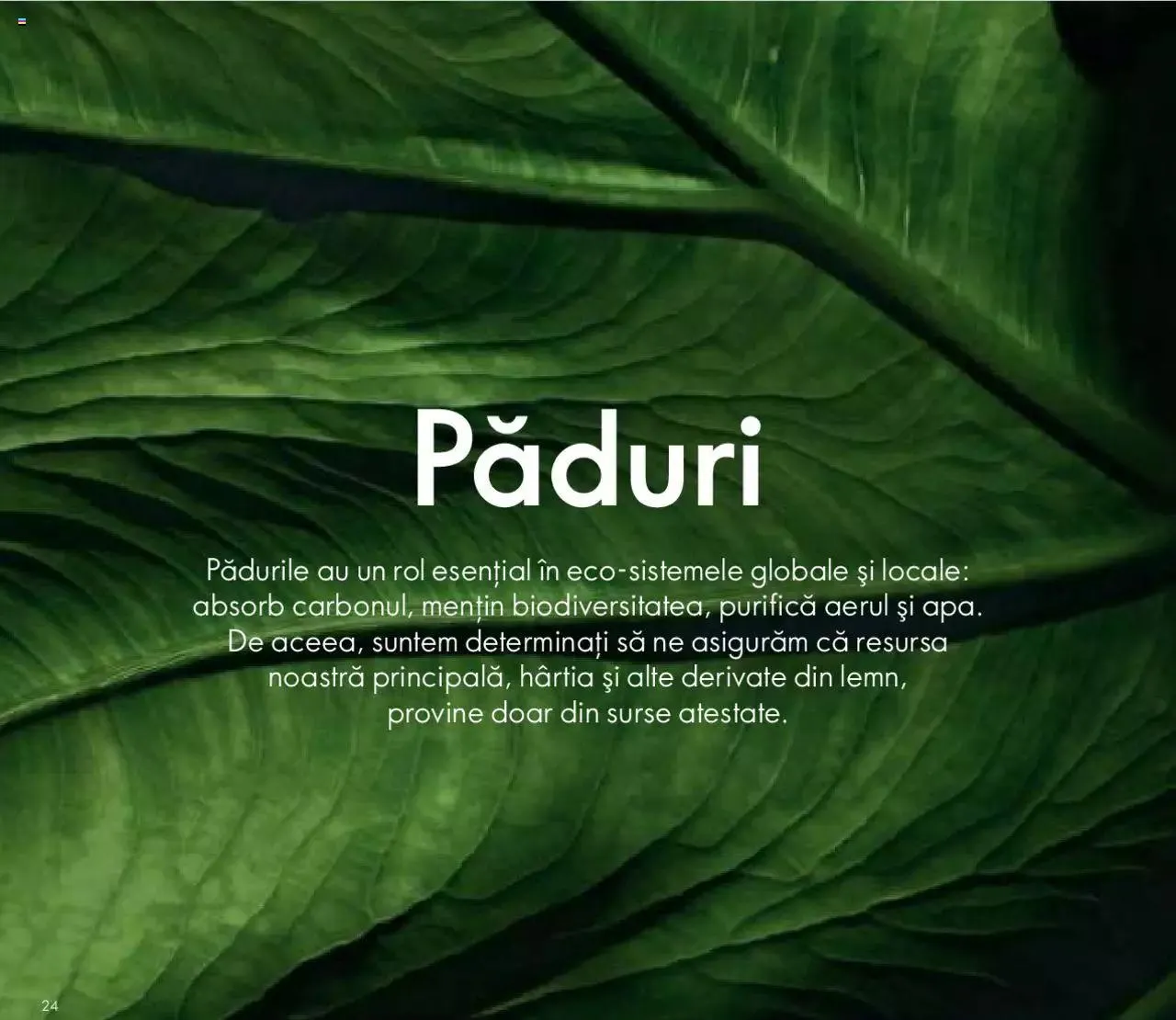 Catalog Oriflame catalog - Broșură Sustenabilitate de la 25 octombrie până la 31 decembrie 2023 - Revista Pagina 24