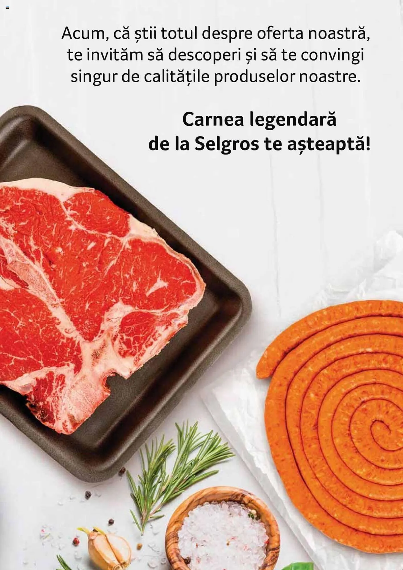 Catalog Selgros catalog de la 27 aprilie până la 31 decembrie 2023 - Revista Pagina 107