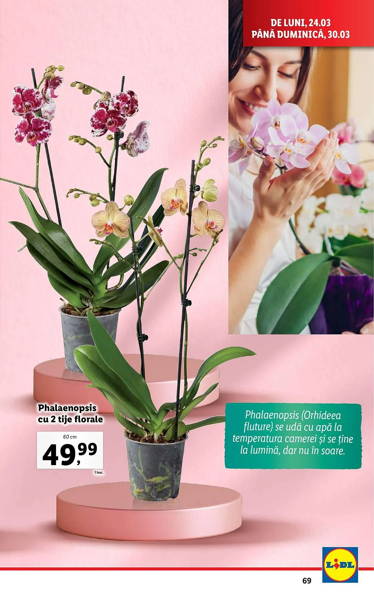 Catalog Catalog Lidl de la 24 martie până la 30 martie 2025 - Revista Pagina 69