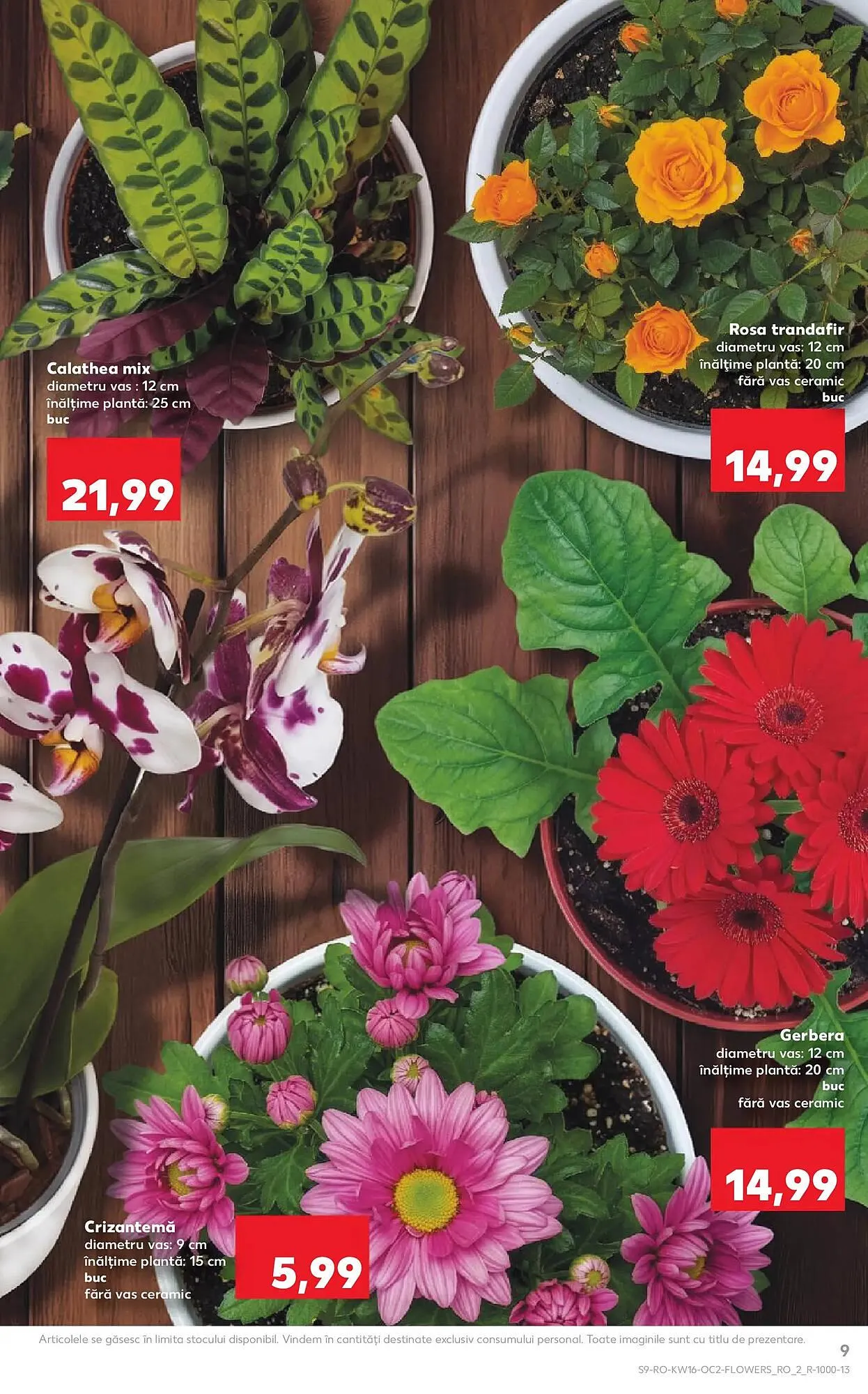 Catalog Catalog Kaufland de la 15 aprilie până la 21 aprilie 2026 - Revista Pagina 9