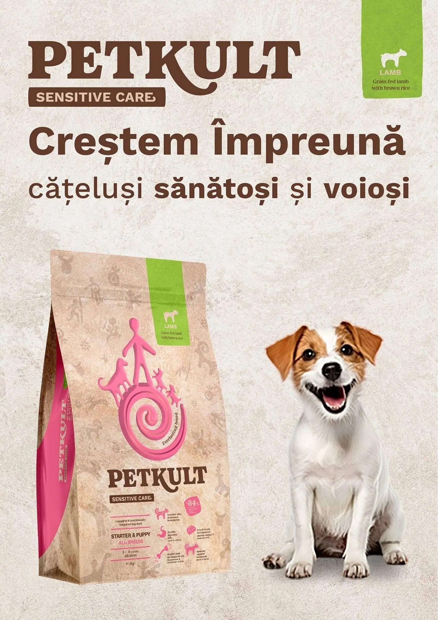 Catalog Catalog Animax de la 3 iunie până la 30 iunie 2025 - Revista Pagina 10