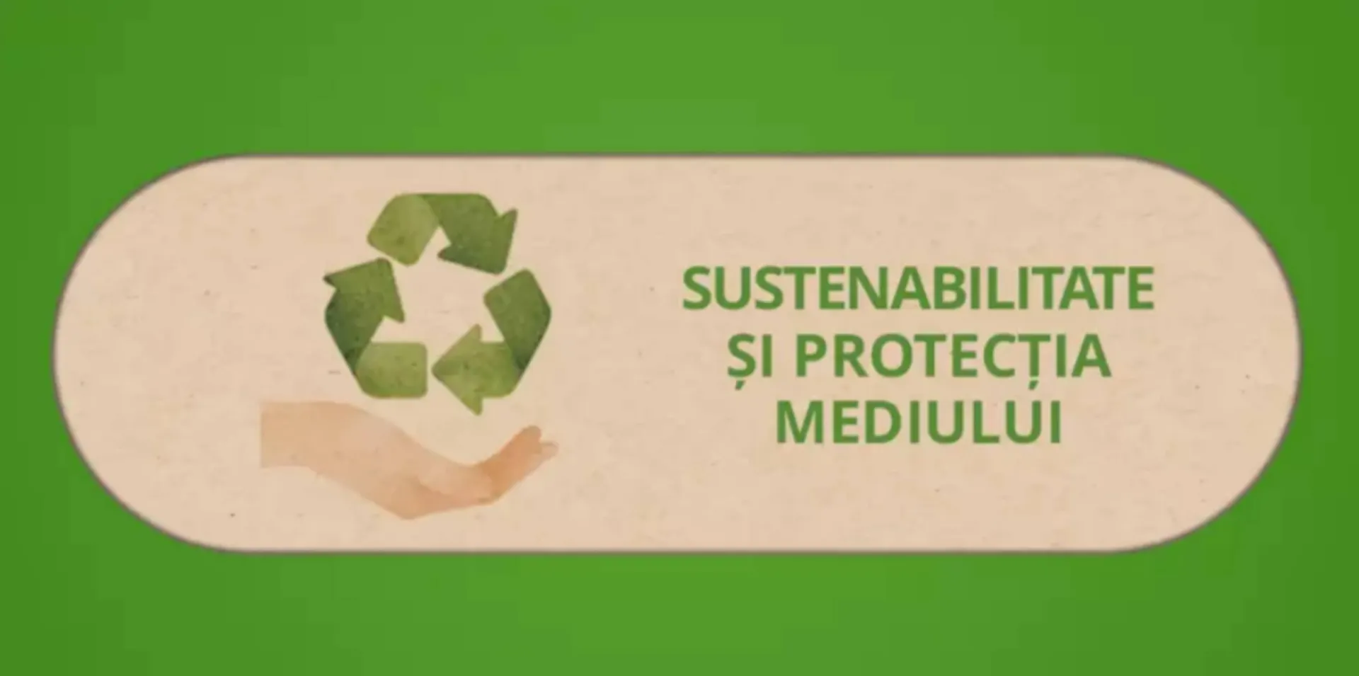 Catalog Catalog Bebe Tei de la 1 martie până la 31 martie 2025 - Revista Pagina 14