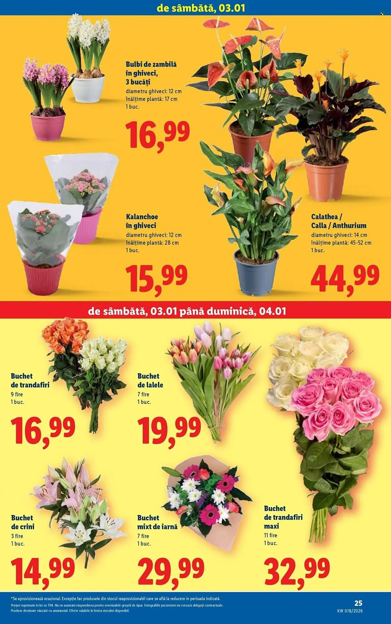 Catalog Catalog Lidl de la 2 ianuarie până la 4 ianuarie 2026 - Revista Pagina 25