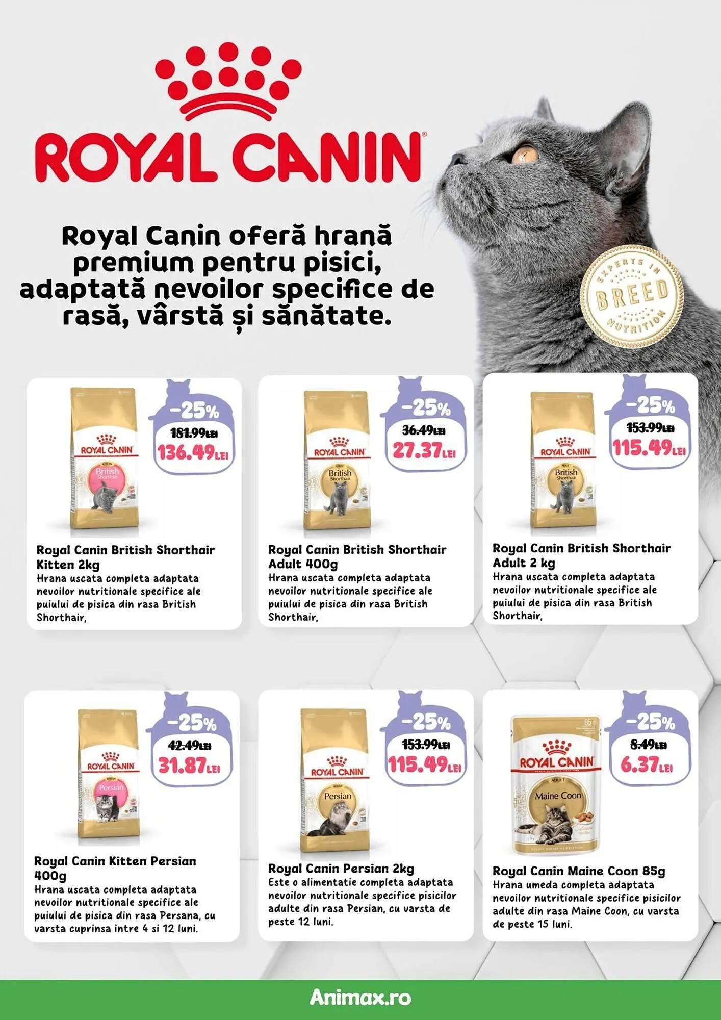 Catalog Catalog Animax de la 4 martie până la 31 martie 2025 - Revista Pagina 18