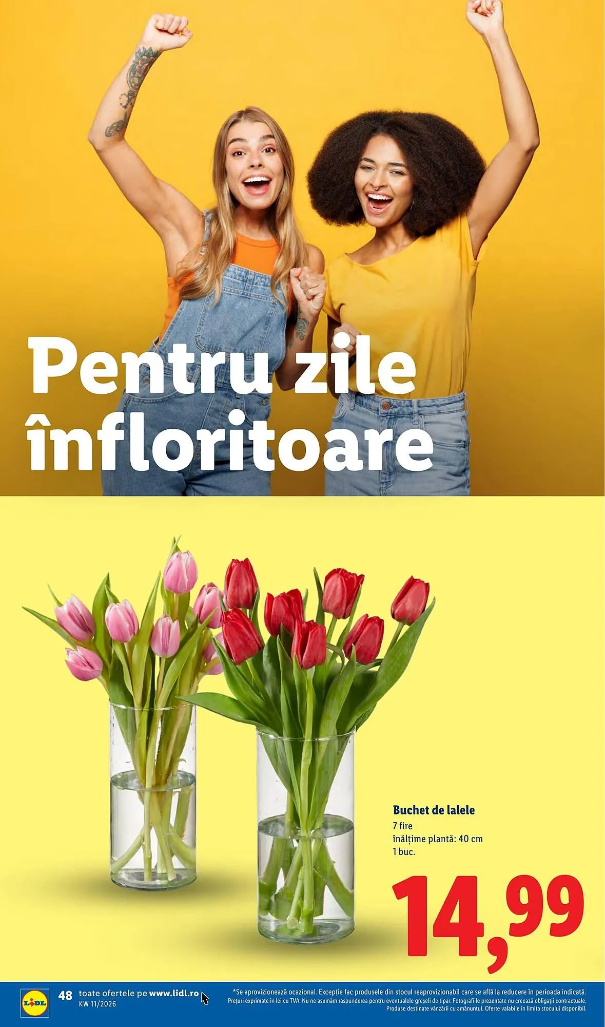 Catalog Catalog Lidl de la 9 martie până la 15 martie 2026 - Revista Pagina 48