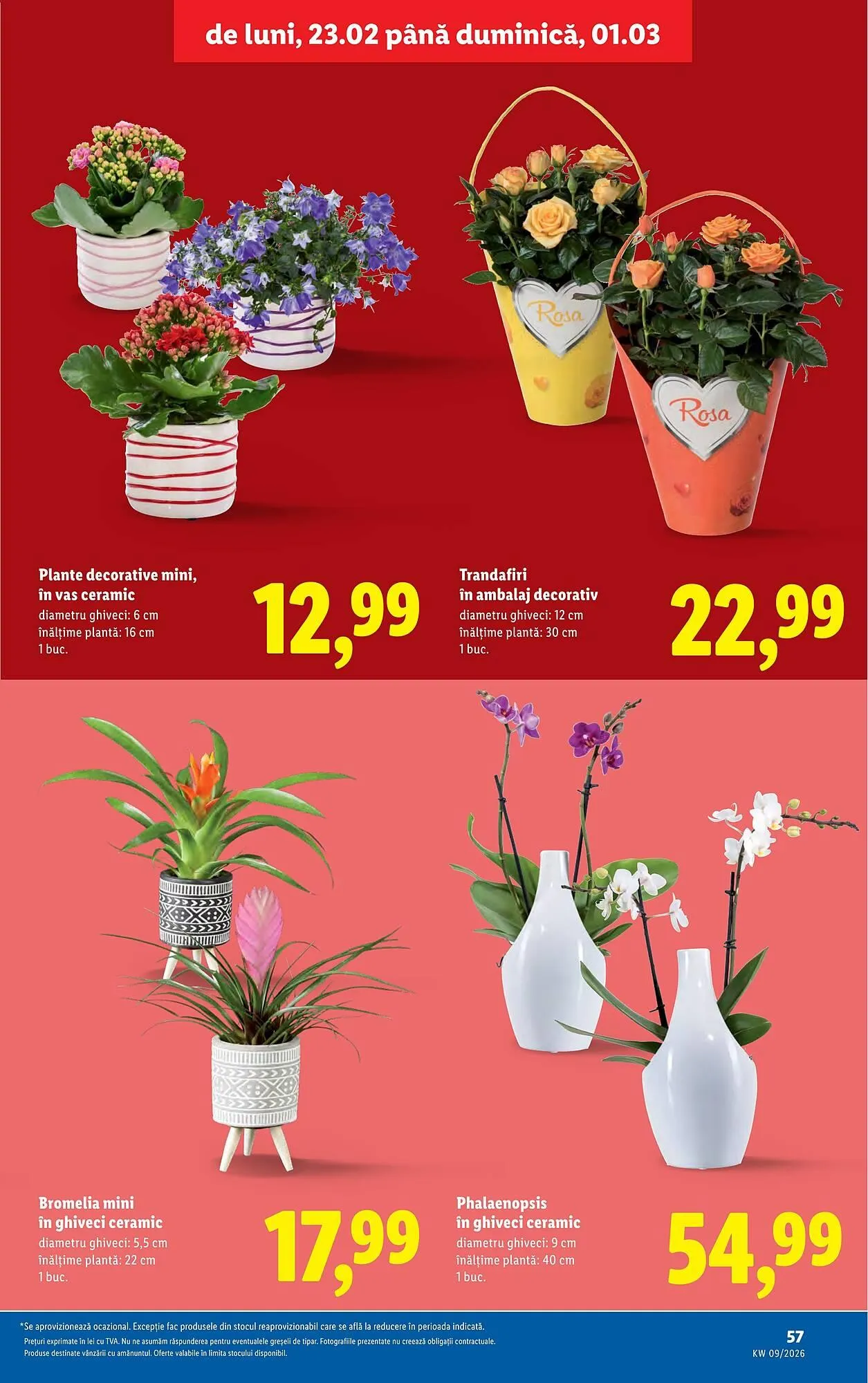 Catalog Catalog Lidl de la 23 februarie până la 1 martie 2026 - Revista Pagina 57