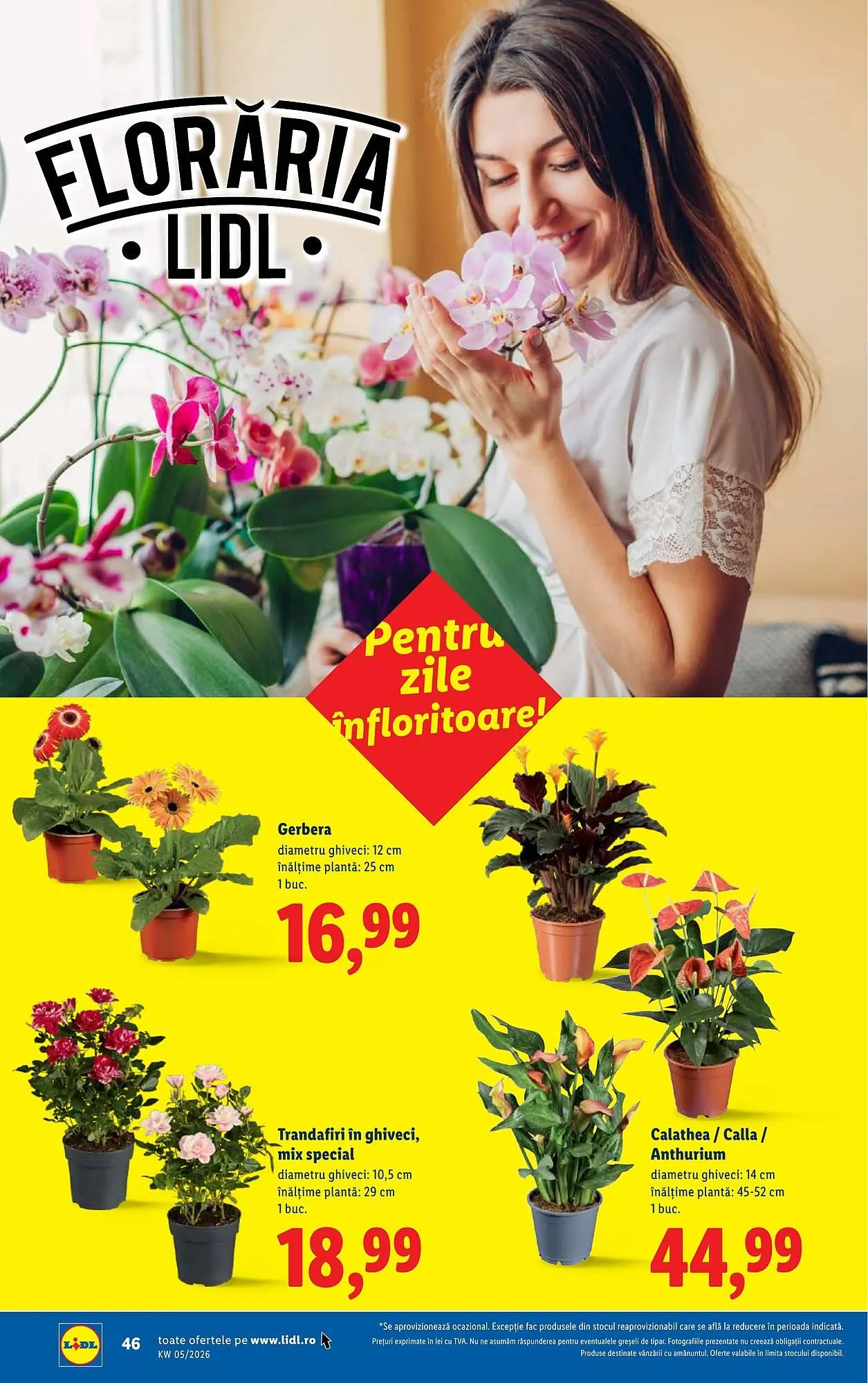 Catalog Catalog Lidl de la 26 ianuarie până la 1 februarie 2026 - Revista Pagina 46