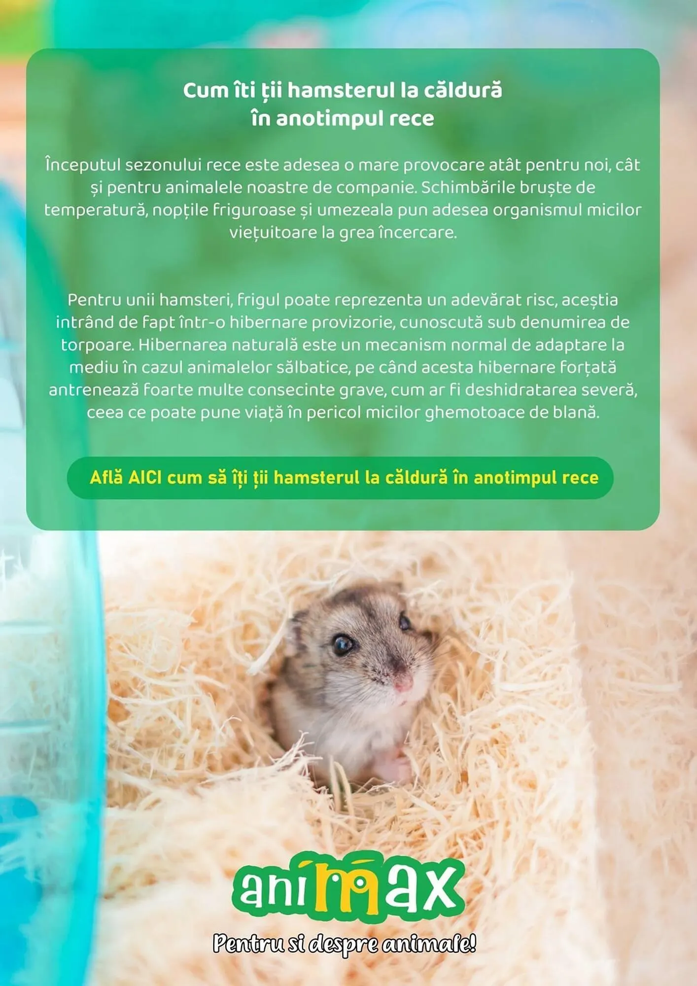 Catalog Catalog Animax de la 2 ianuarie până la 3 februarie 2025 - Revista Pagina 13