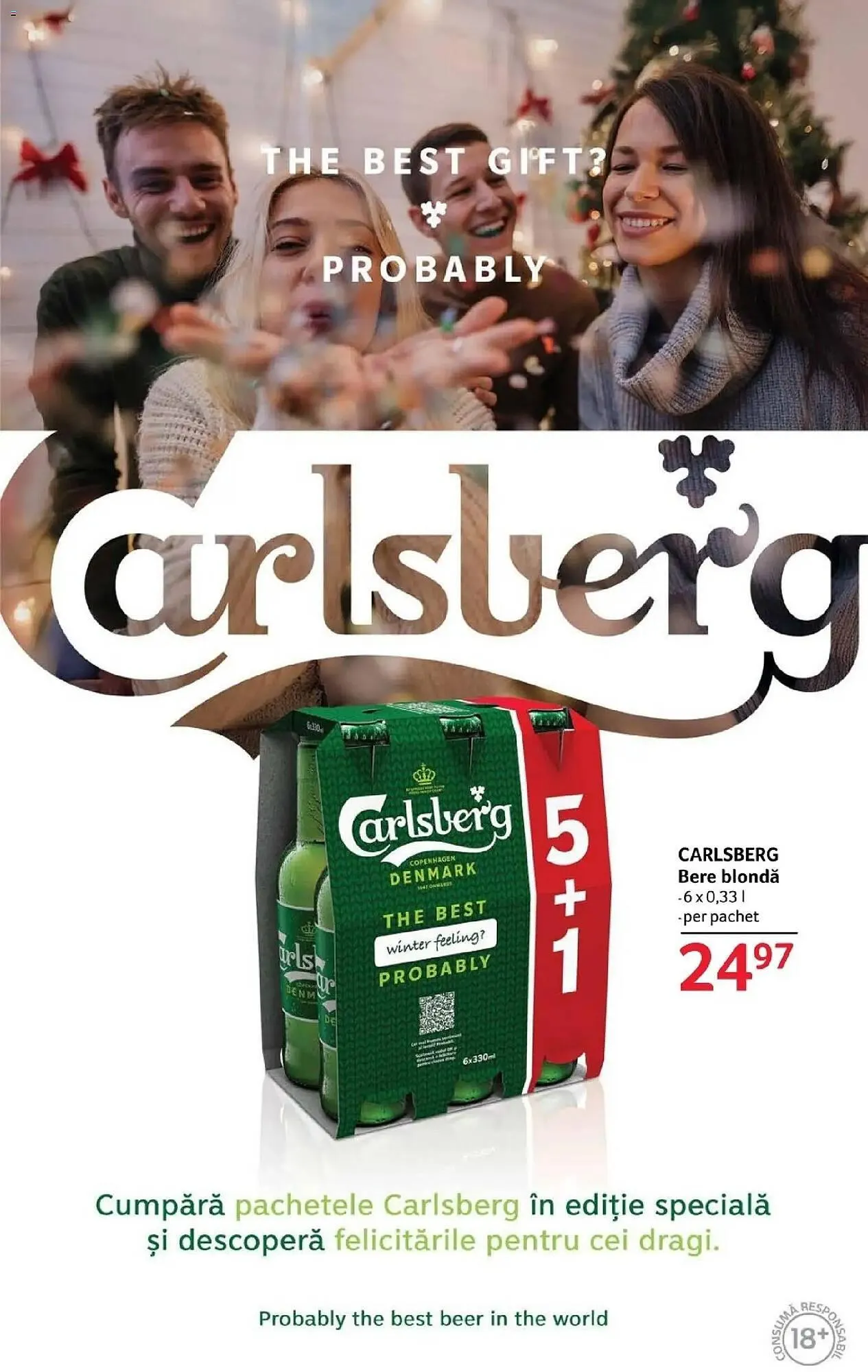 Catalog Catalog Selgros de la 12 decembrie până la 31 decembrie 2025 - Revista Pagina 41