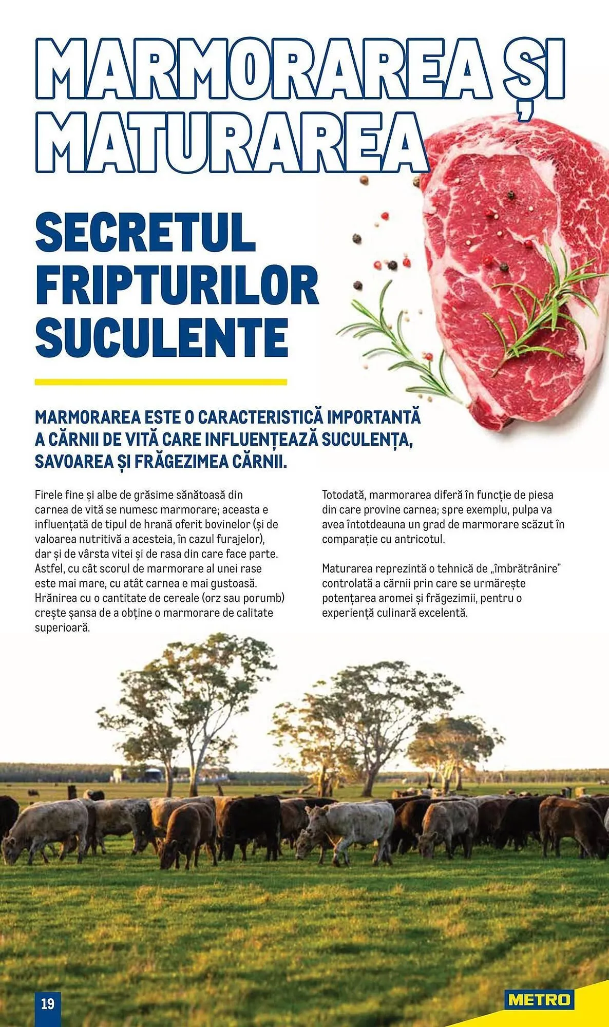 Catalog Metro catalog de la 16 ianuarie până la 31 decembrie 2024 - Revista Pagina 19