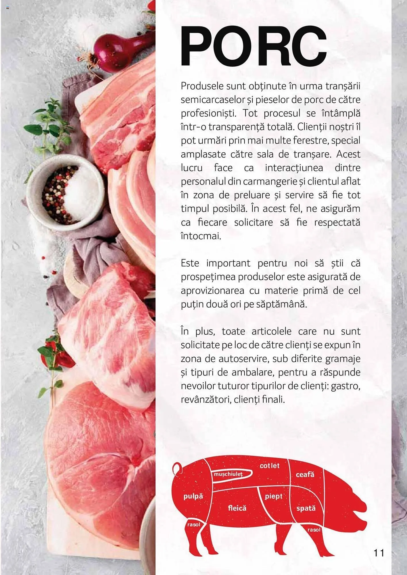 Catalog Selgros catalog de la 27 aprilie până la 31 decembrie 2023 - Revista Pagina 11