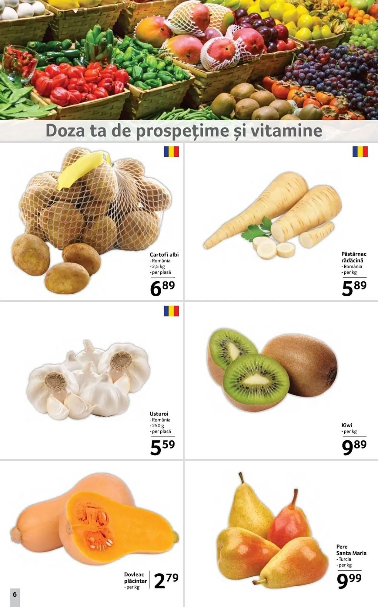 Catalog Catalog Selgros de la 14 noiembrie până la 27 noiembrie 2025 - Revista Pagina 6