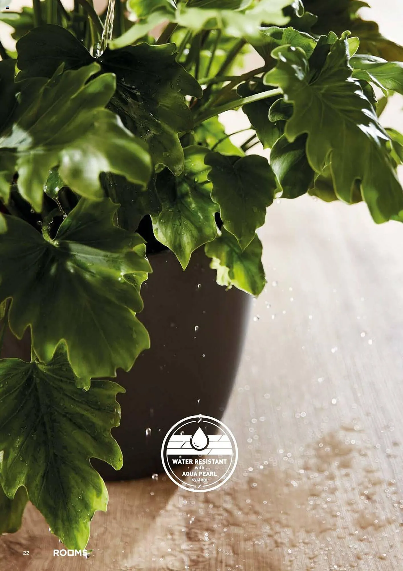 Catalog Proges catalog de la 18 septembrie până la 31 decembrie 2023 - Revista Pagina 22