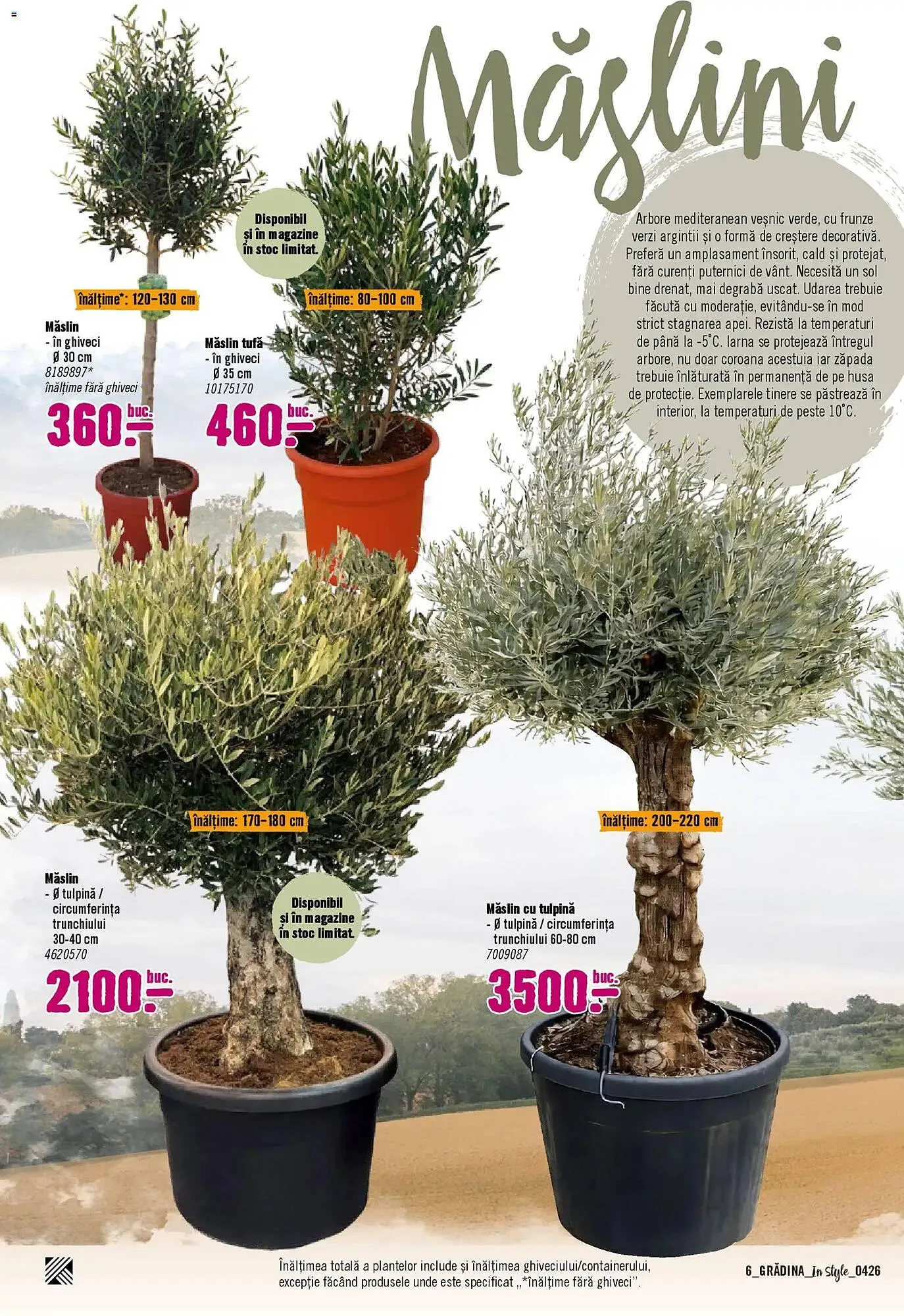 Catalog Magazine Hornbach de la 5 aprilie până la 31 mai 2026 - Revista Pagina 6