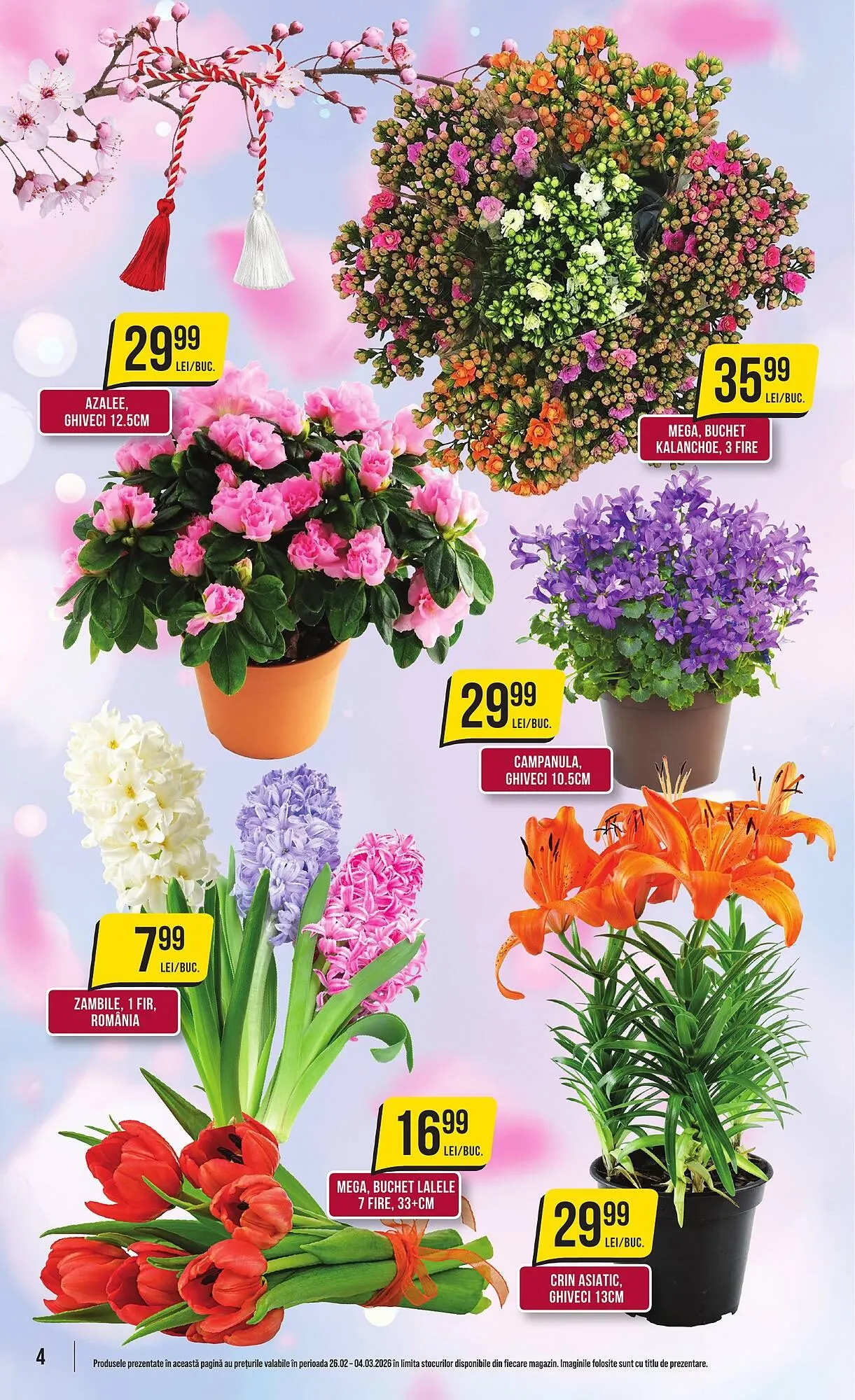 Catalog Catalog Mega Image de la 26 februarie până la 4 martie 2026 - Revista Pagina 4