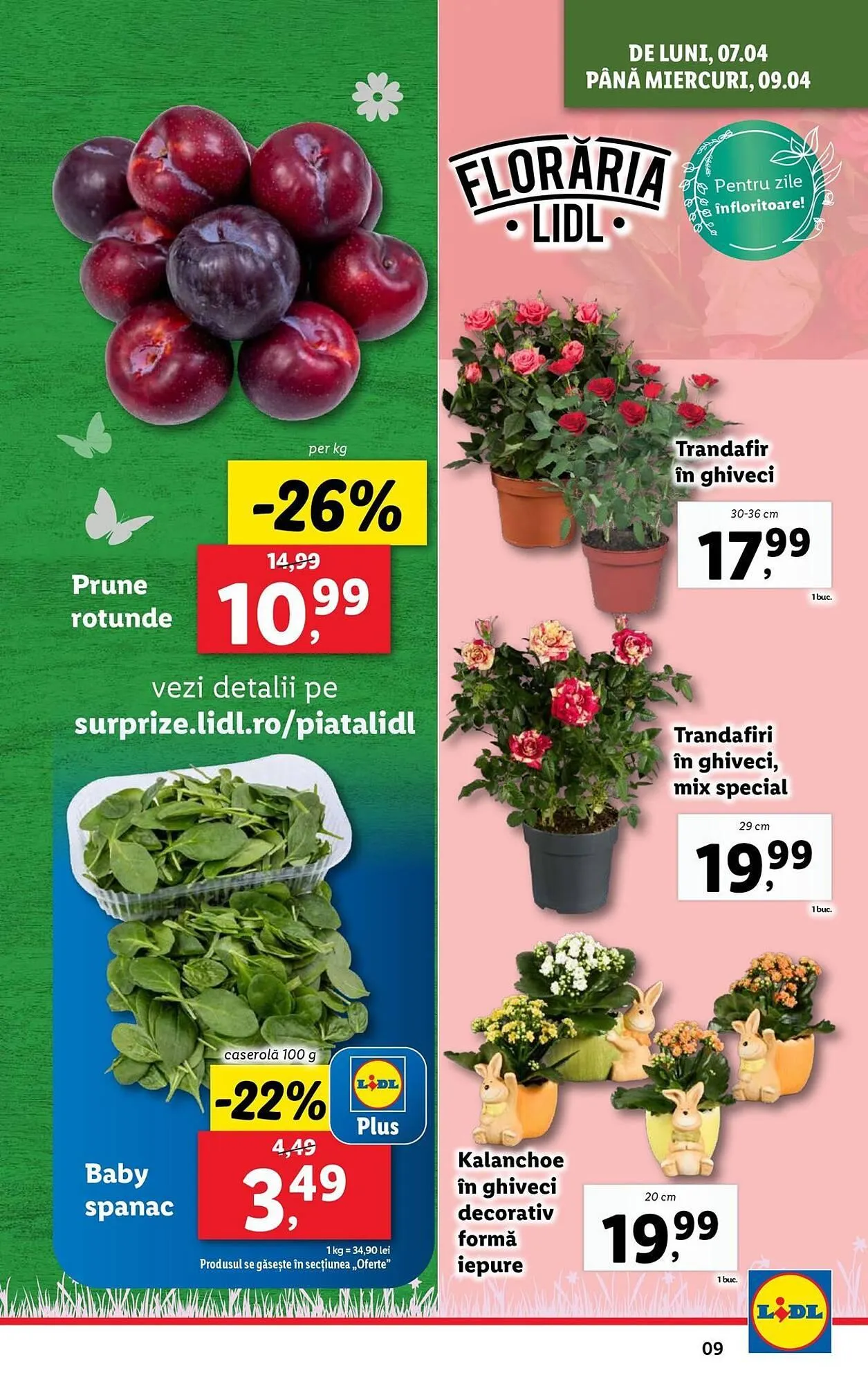 Catalog Catalog Lidl de la 7 aprilie până la 13 aprilie 2025 - Revista Pagina 9