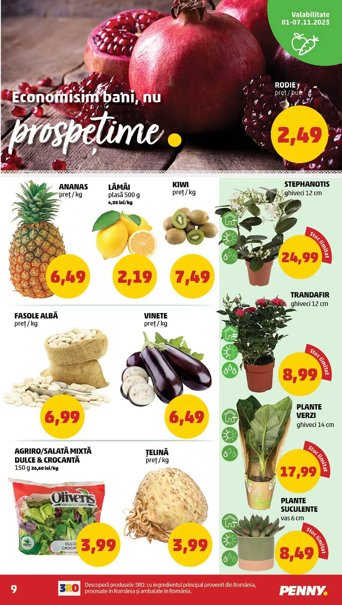 Catalog Penny catalog de la 1 octombrie până la 1 ianuarie 2024 - Revista Pagina 9