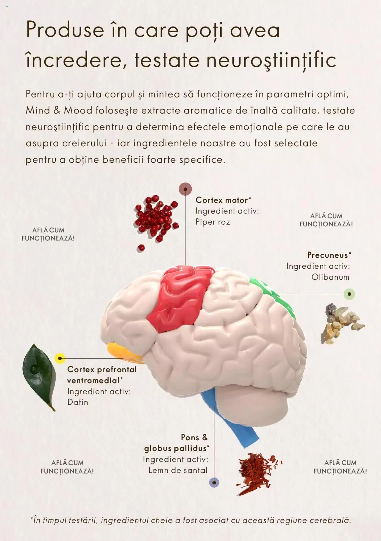 Catalog Oriflame catalog - Ghid Mind & Mood de la 8 martie până la 31 decembrie 2023 - Revista Pagina 4