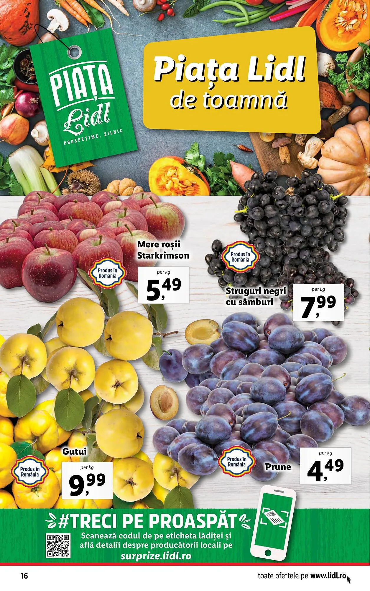 Catalog Lidl catalog de la 2 octombrie până la 8 octombrie 2023 - Revista Pagina 16