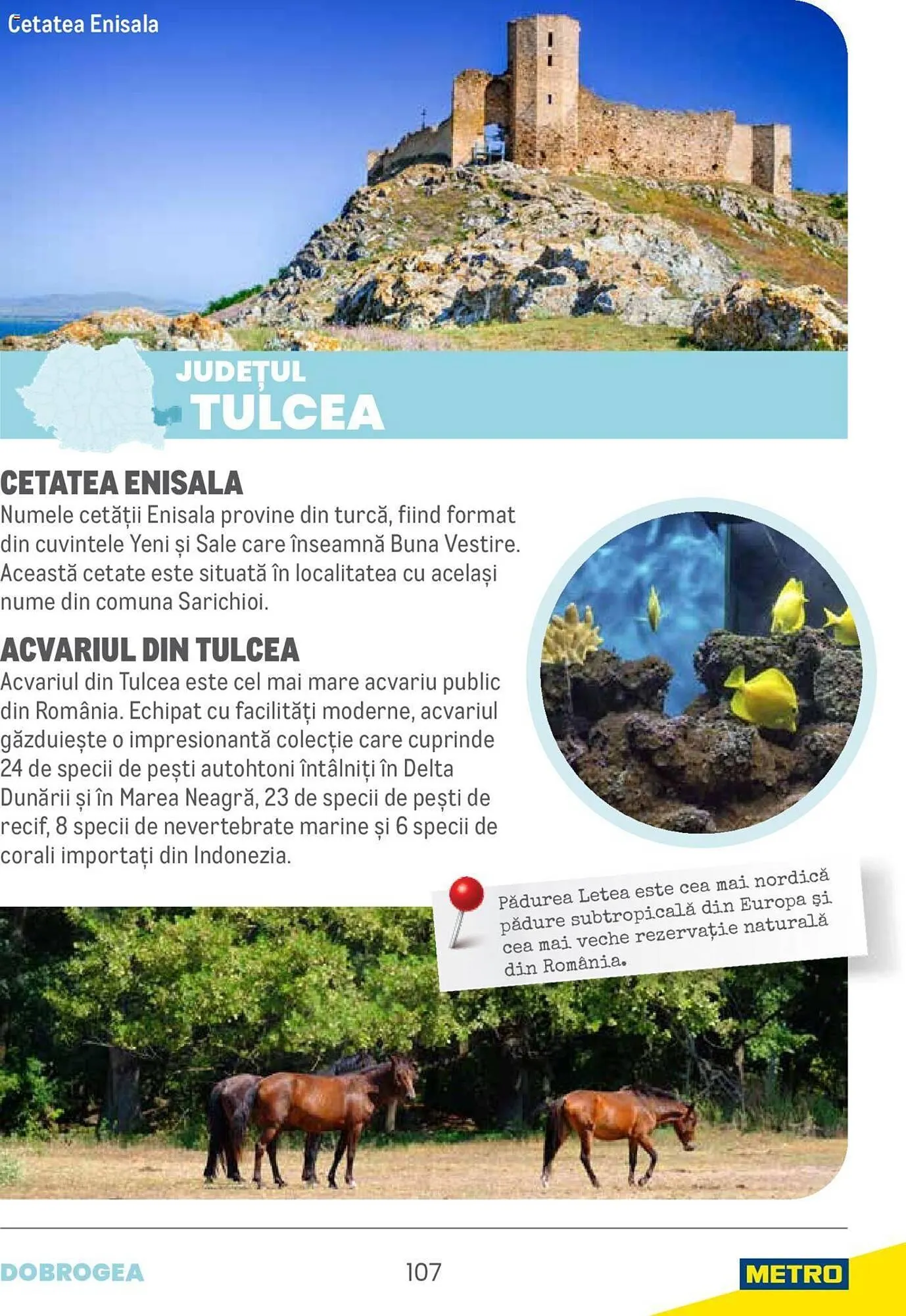 Catalog Сatalog Metro de la 22 martie până la 31 martie 2025 - Revista Pagina 257