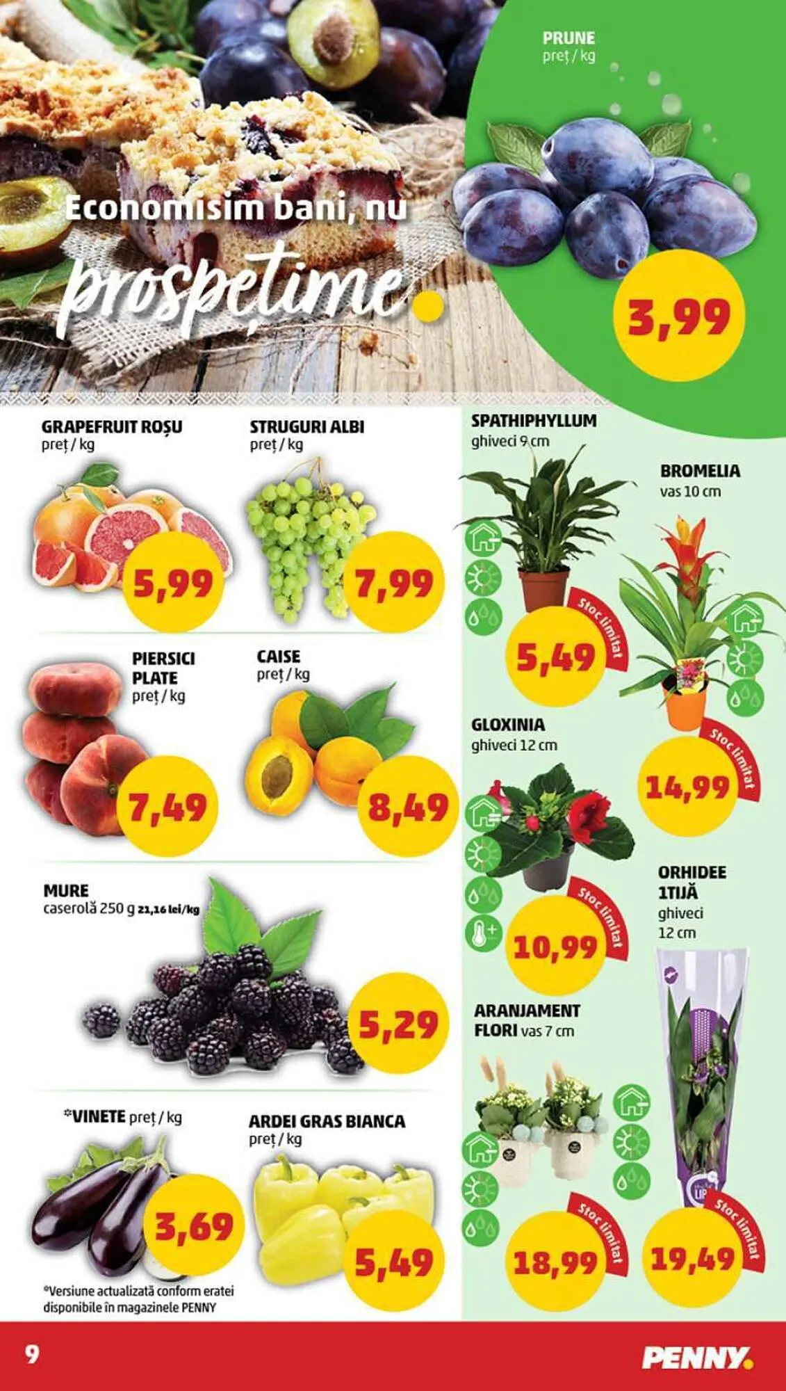 Catalog Penny catalog de la 9 august până la 15 august 2023 - Revista Pagina 9