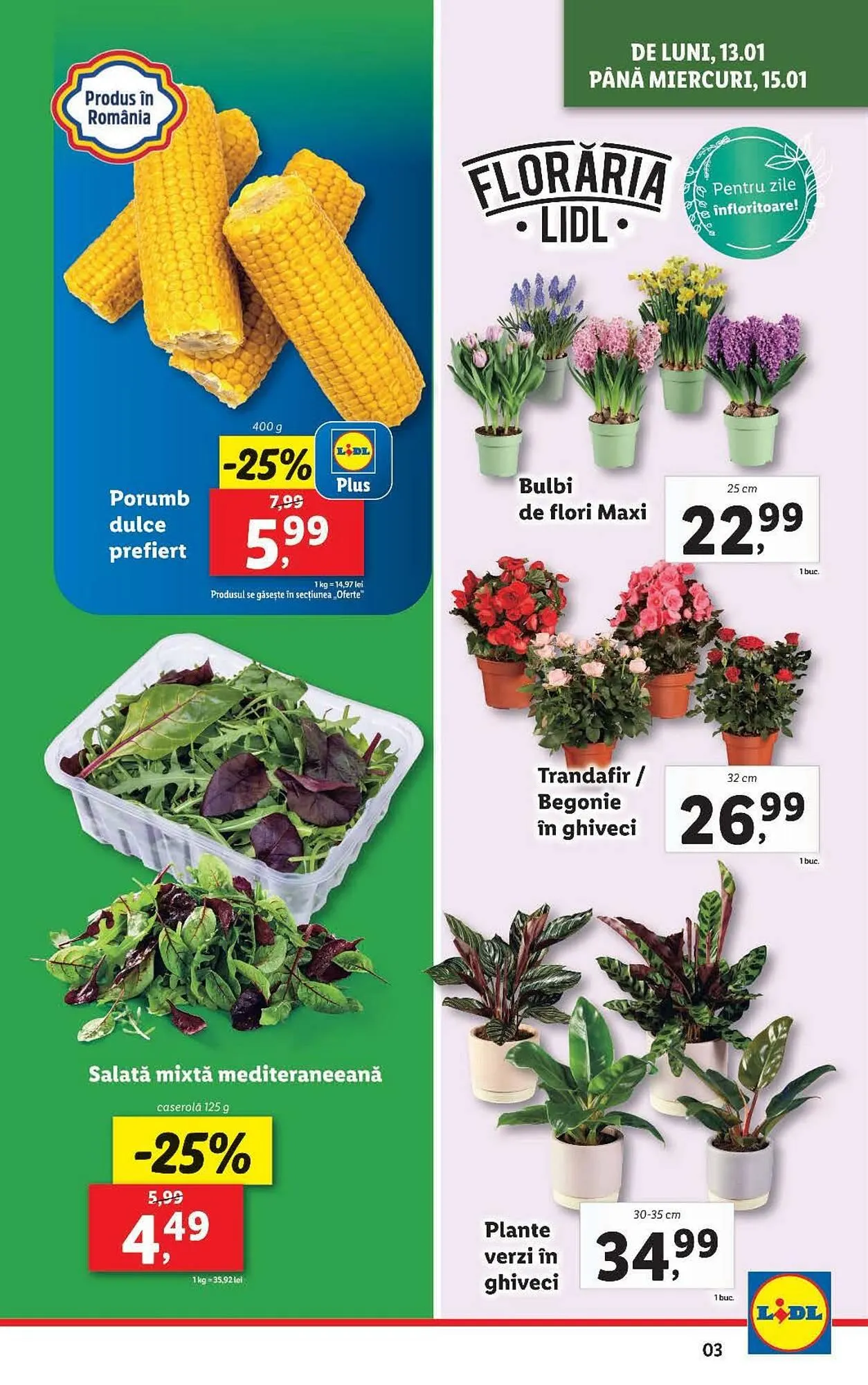 Catalog Catalog Lidl de la 13 ianuarie până la 19 ianuarie 2025 - Revista Pagina 3