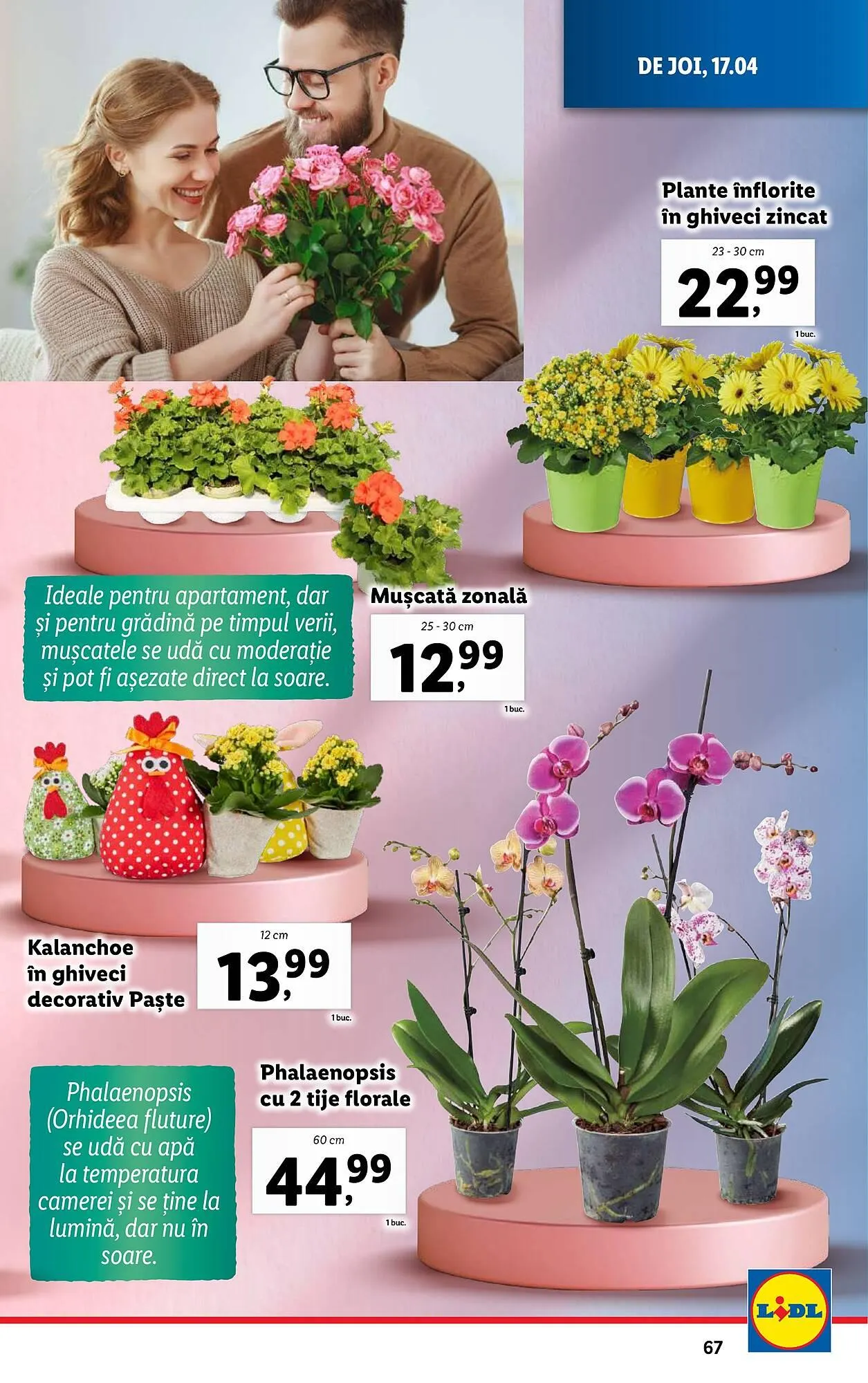 Catalog Catalog Lidl de la 14 aprilie până la 19 aprilie 2025 - Revista Pagina 67