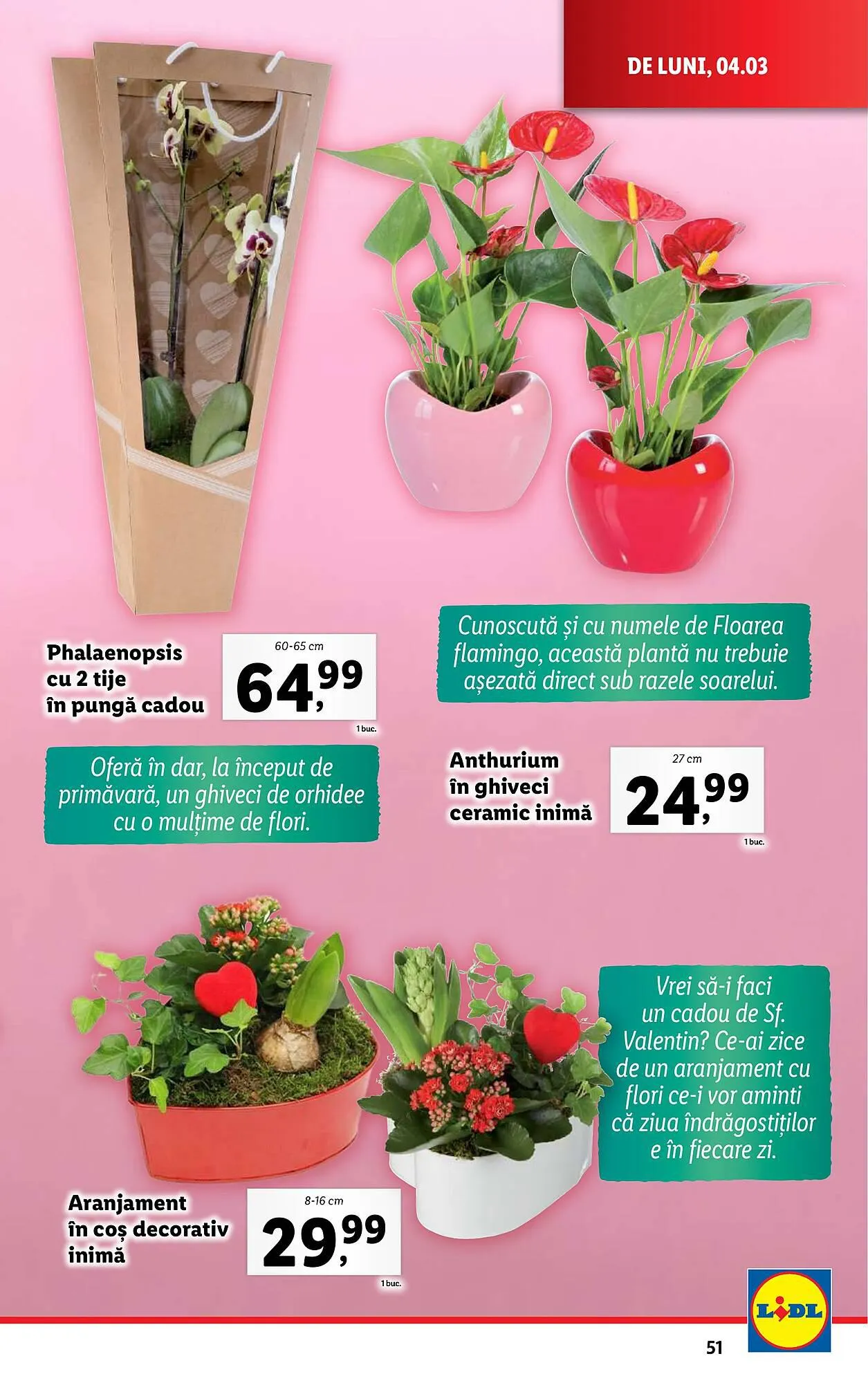 Catalog Lidl catalog de la 4 martie până la 10 martie 2024 - Revista Pagina 51