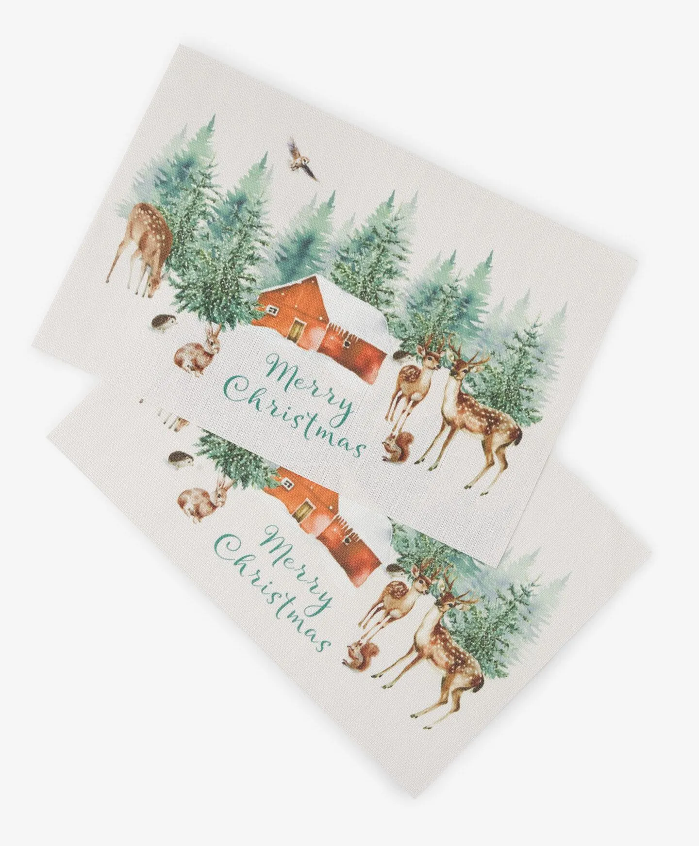 Set 2 suporturi de masă