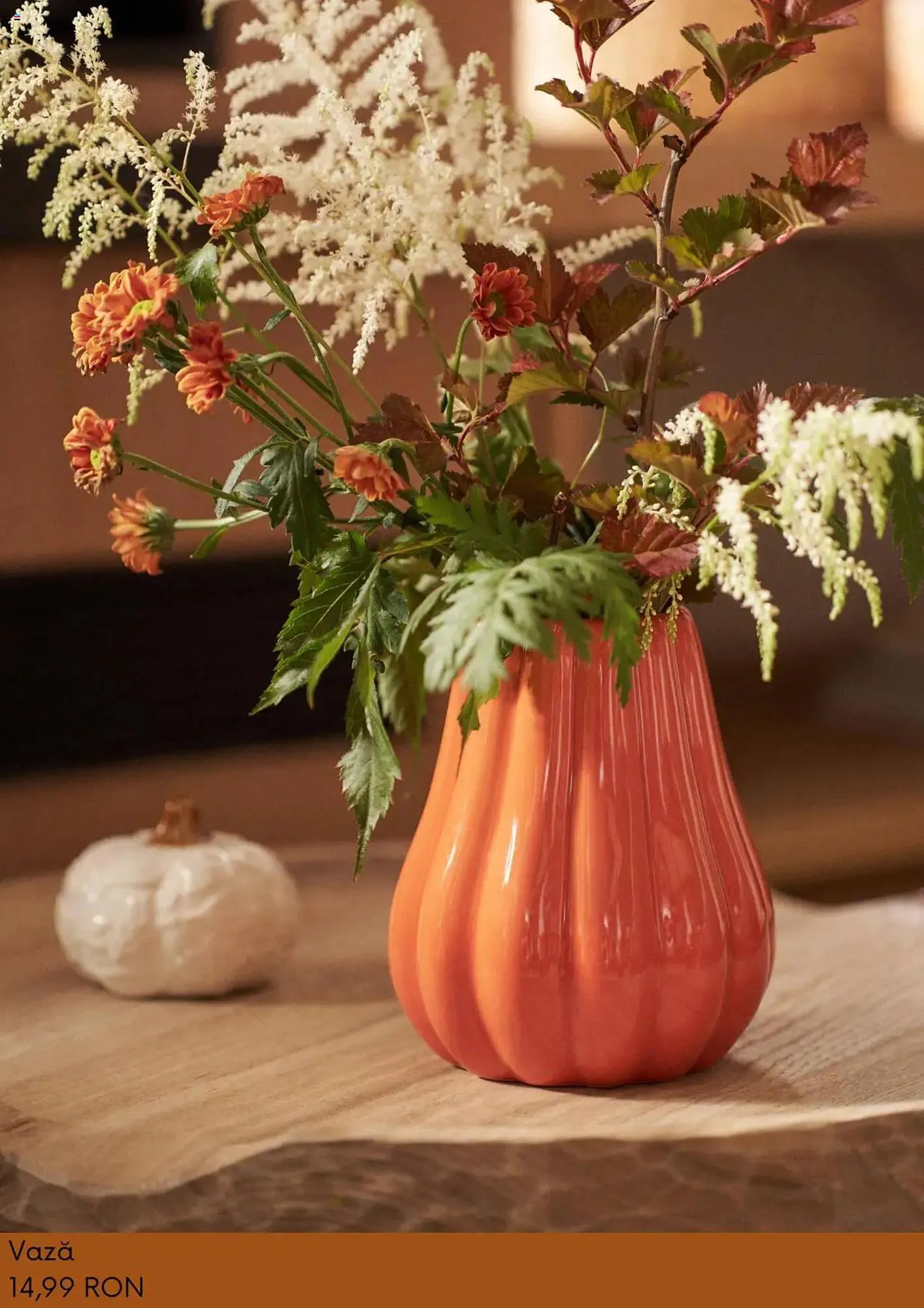 Catalog Catalog Sinsay de la 3 septembrie până la 6 octombrie 2025 - Revista Pagina 8