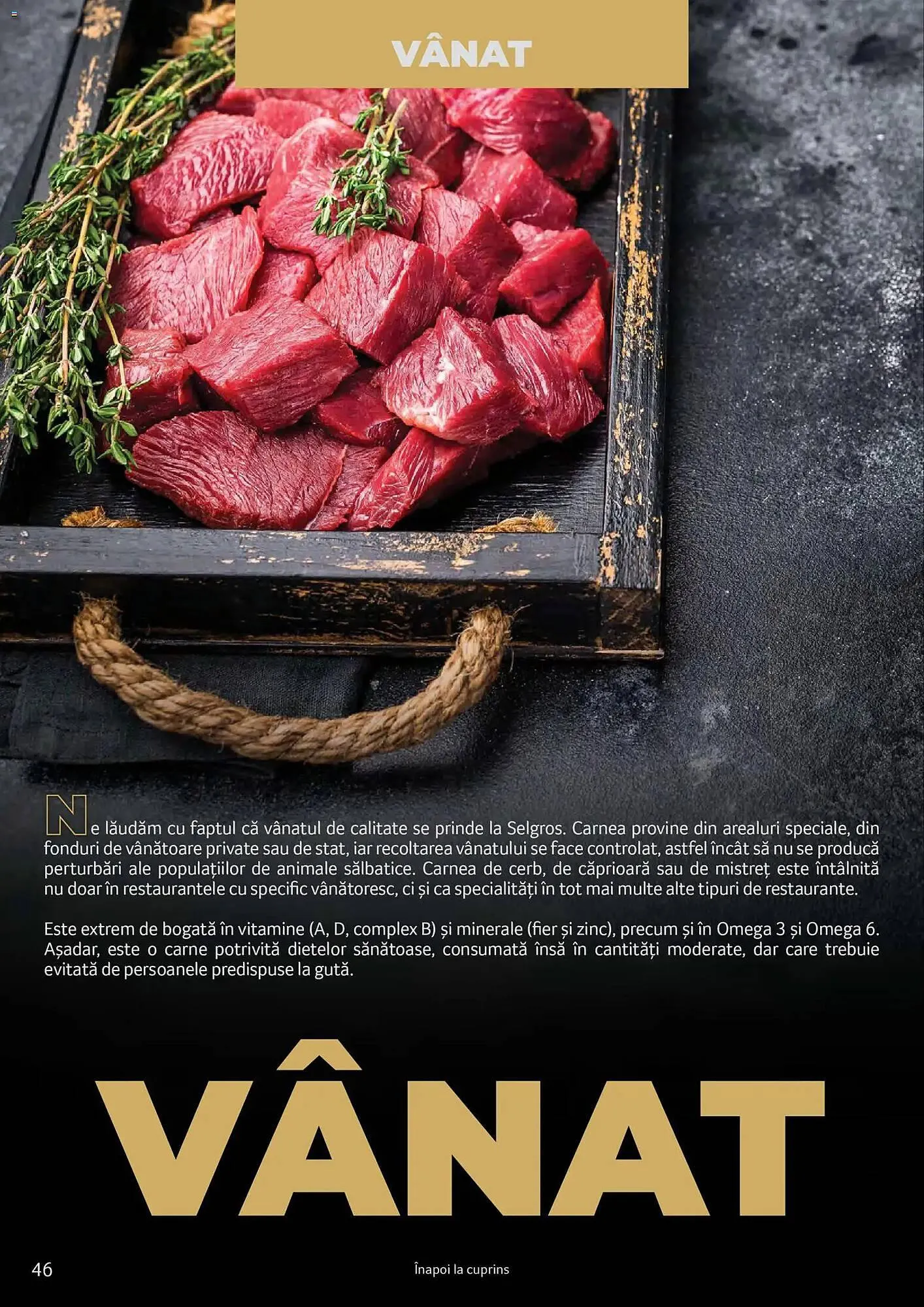 Catalog Catalog Selgros de la 24 martie până la 31 martie 2027 - Revista Pagina 46