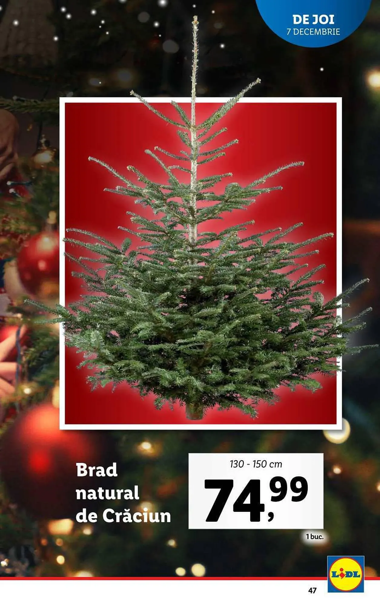 Catalog Lidl catalog de la 4 decembrie până la 10 decembrie 2023 - Revista Pagina 47