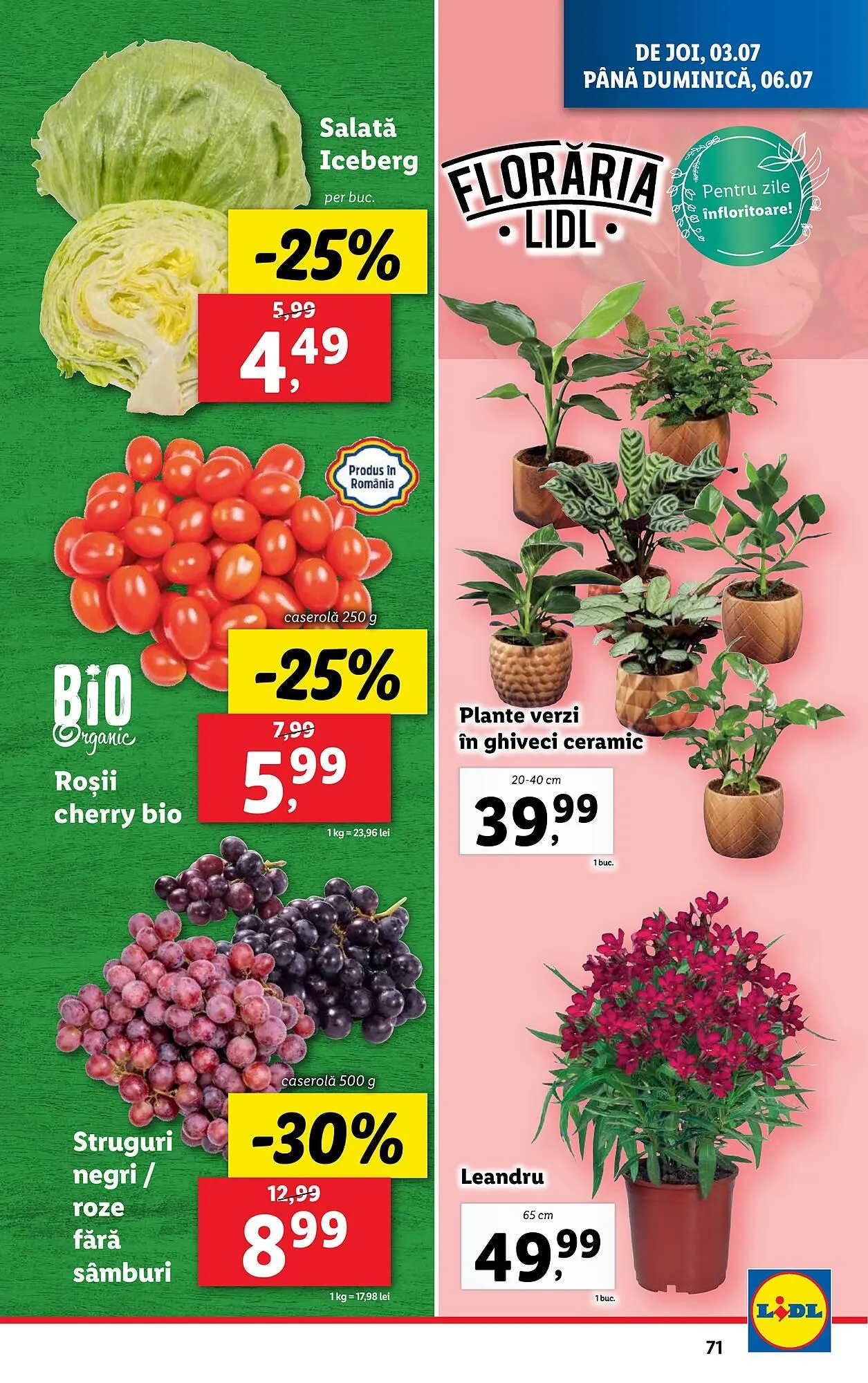 Catalog Catalog Lidl de la 30 iunie până la 6 iulie 2025 - Revista Pagina 71