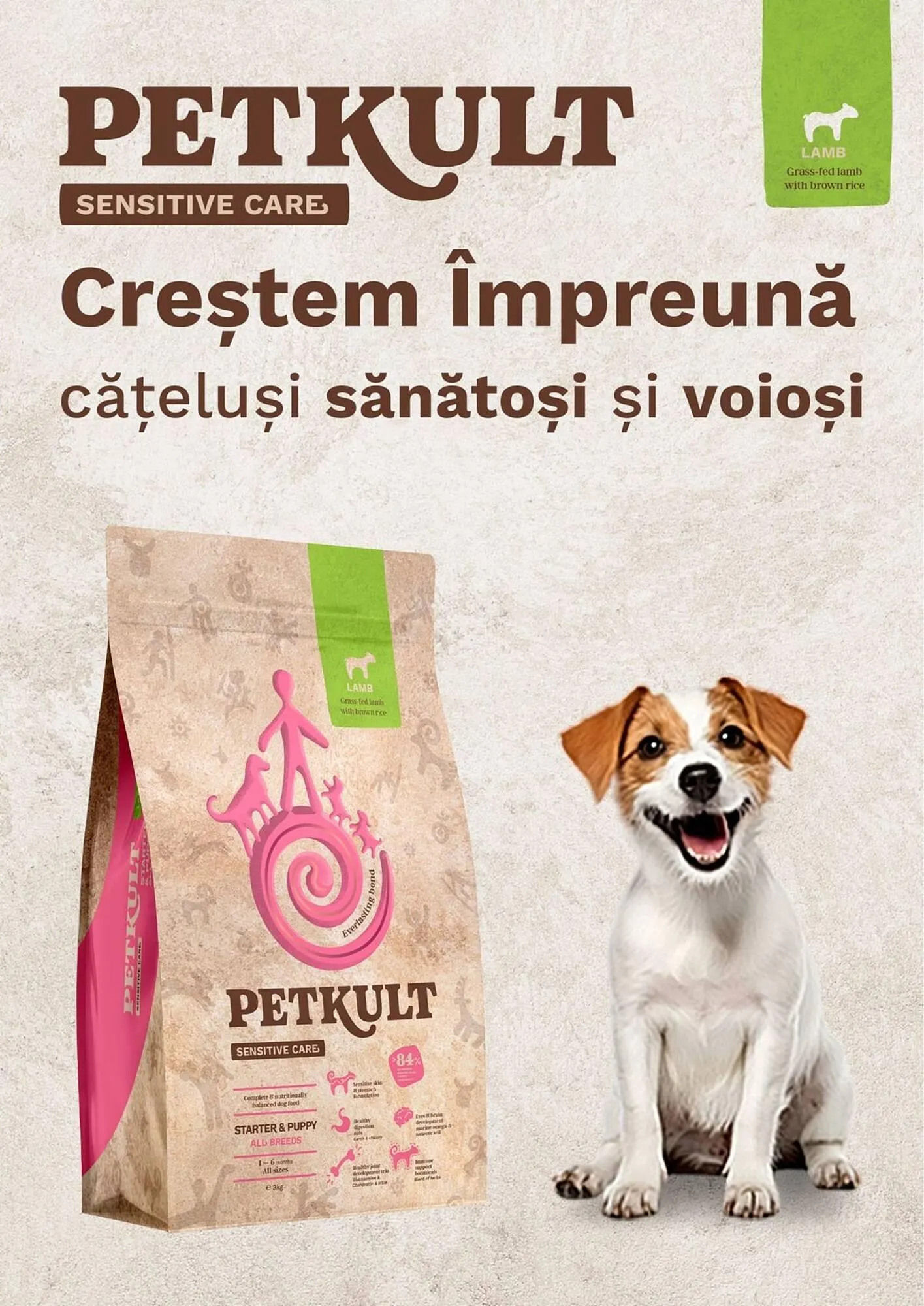 Catalog Catalog Animax de la 1 iulie până la 31 iulie 2025 - Revista Pagina 8