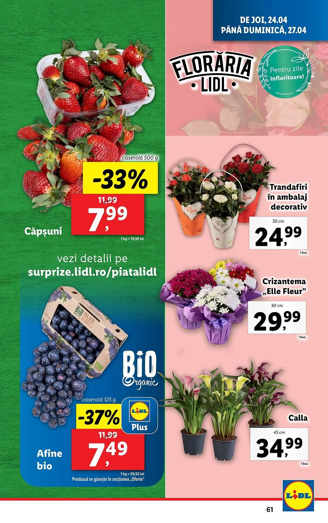 Catalog Catalog Lidl de la 22 aprilie până la 27 aprilie 2025 - Revista Pagina 61