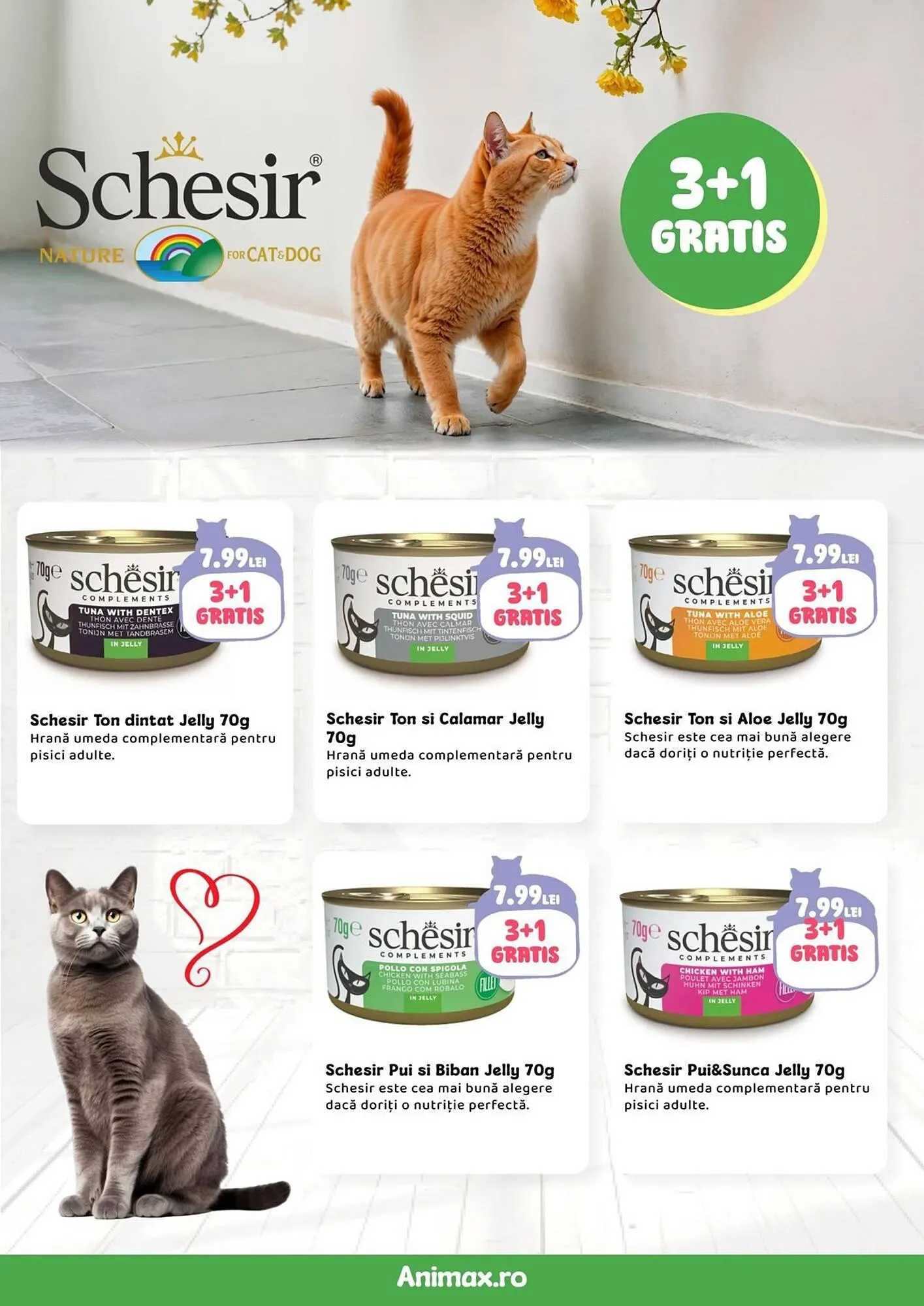 Catalog Magazine Animax de la 1 aprilie până la 30 aprilie 2026 - Revista Pagina 17