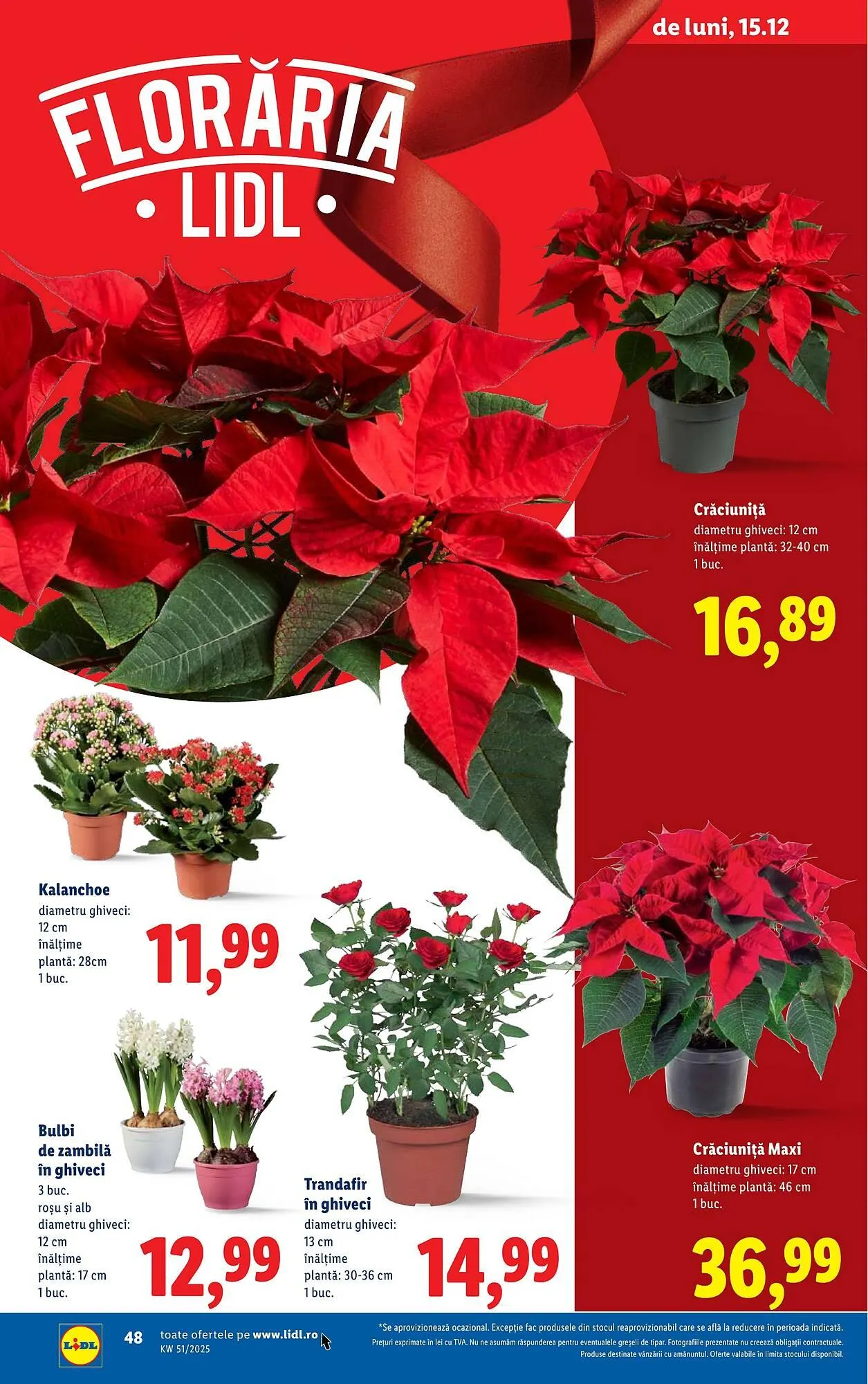 Catalog Catalog Lidl de la 15 decembrie până la 21 decembrie 2025 - Revista Pagina 48