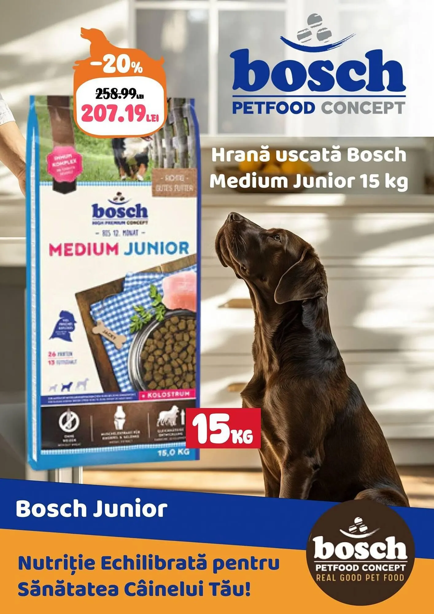 Catalog Catalog Animax de la 4 martie până la 31 martie 2025 - Revista Pagina 5